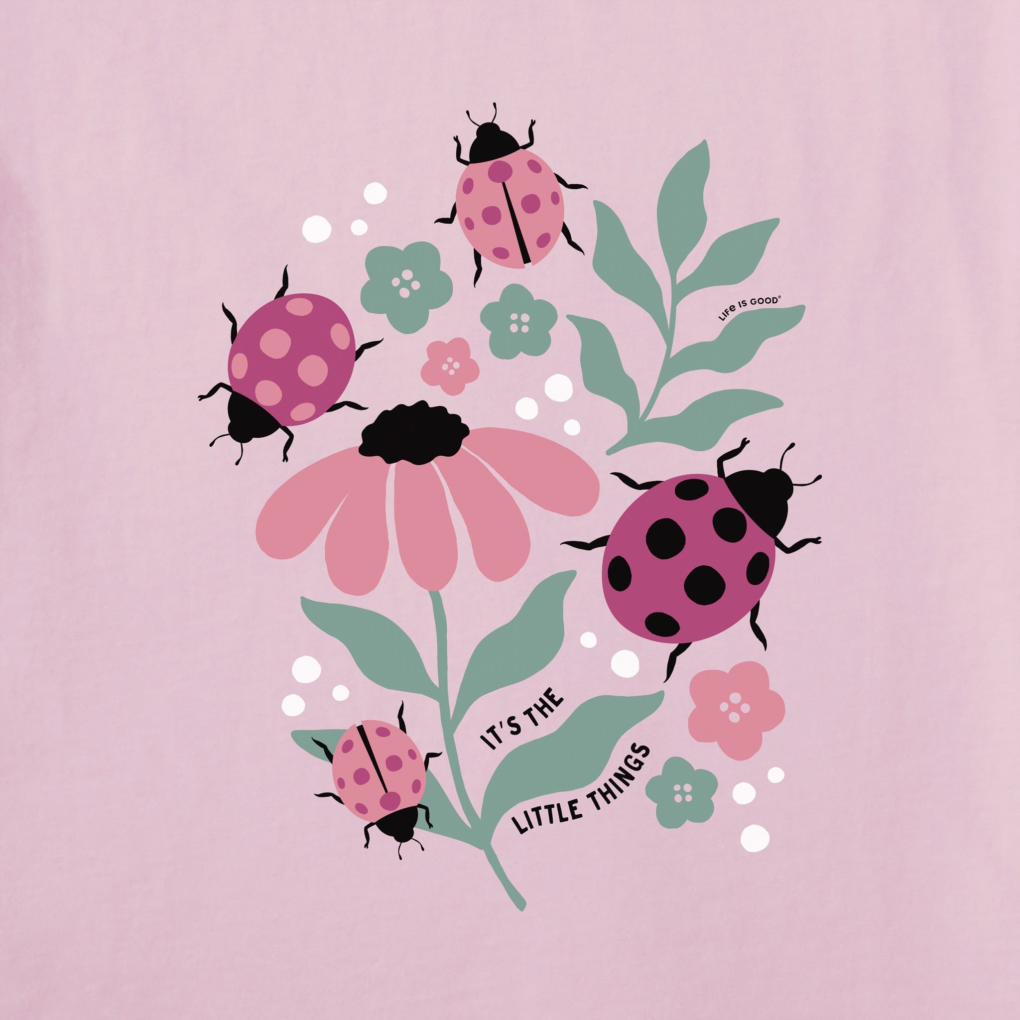 Women's It's the Little Ladybug Things Short Sleeve Tee