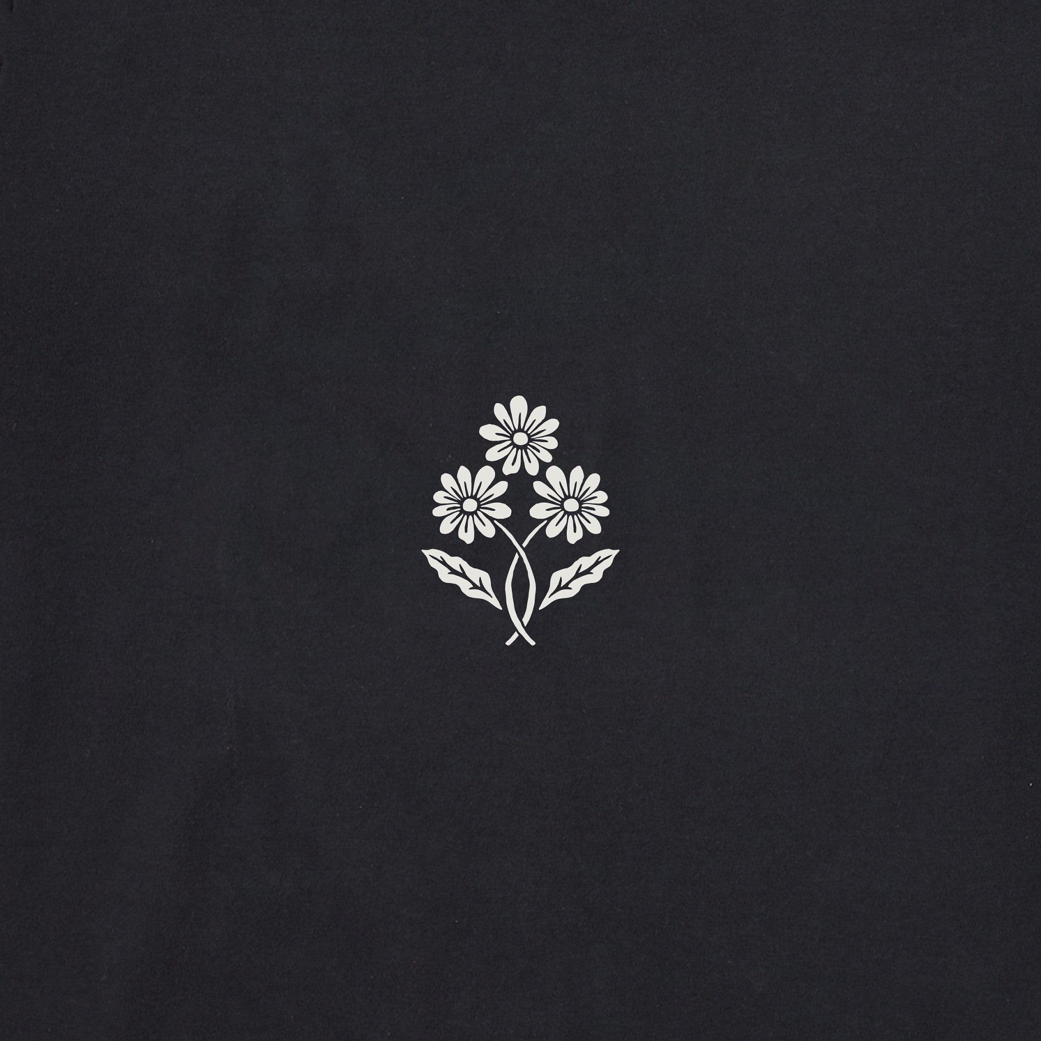 Women's Have a Nice Daisy Message Short Sleeve Crusher Tee