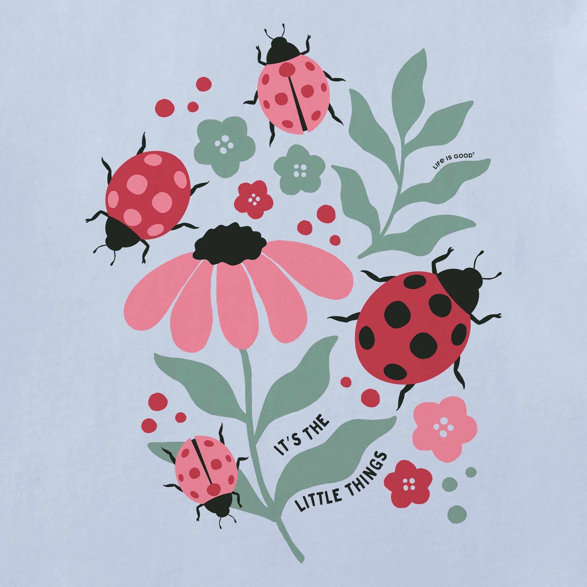 Women's It's the Little Ladybug Things Short Sleeve Crusher Tee