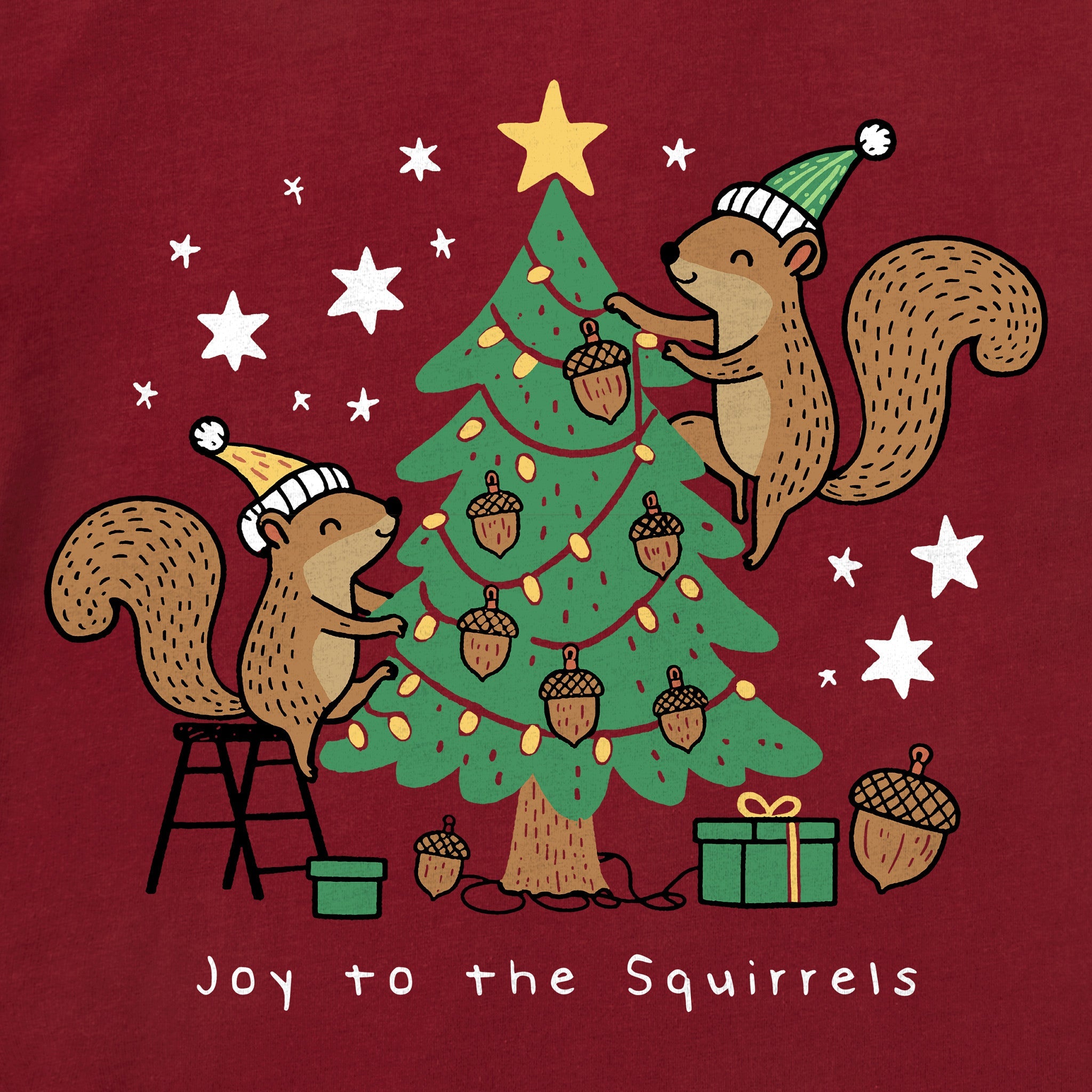 Women's Joy to the Squirrels Long Sleeve Crusher Tee