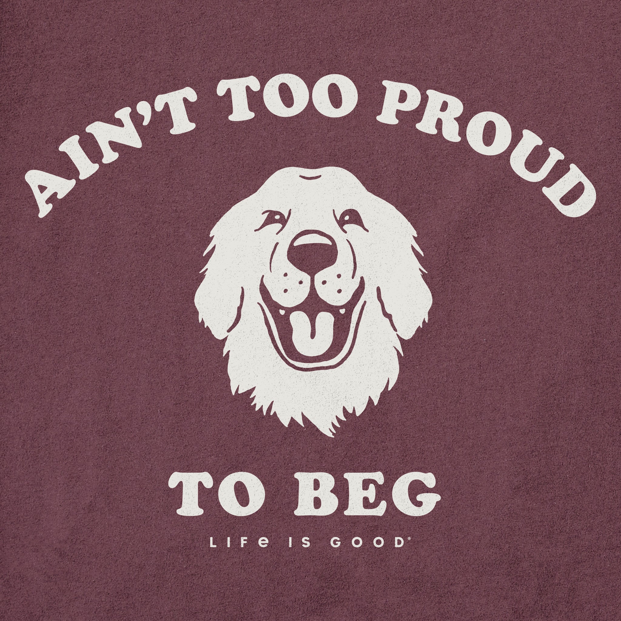 Men's Ain't Too Proud Short Sleeve Crusher Tee