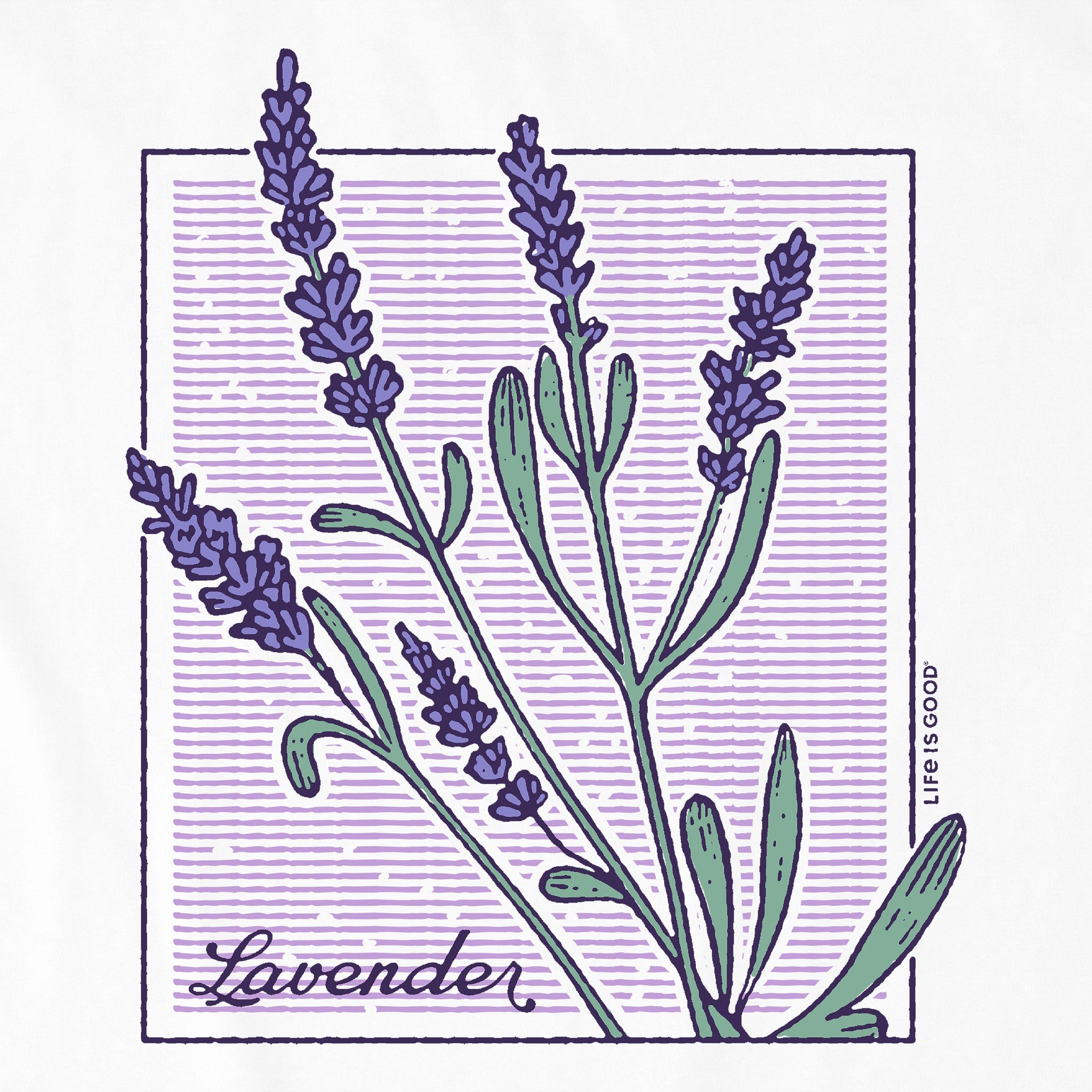 Women's Lavender Box Short Sleeve Tee