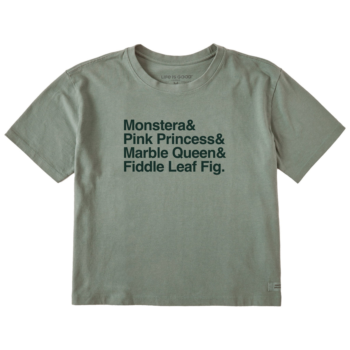 Women's Houseplants Stack Short Sleeve Crusher Boxy Tee
