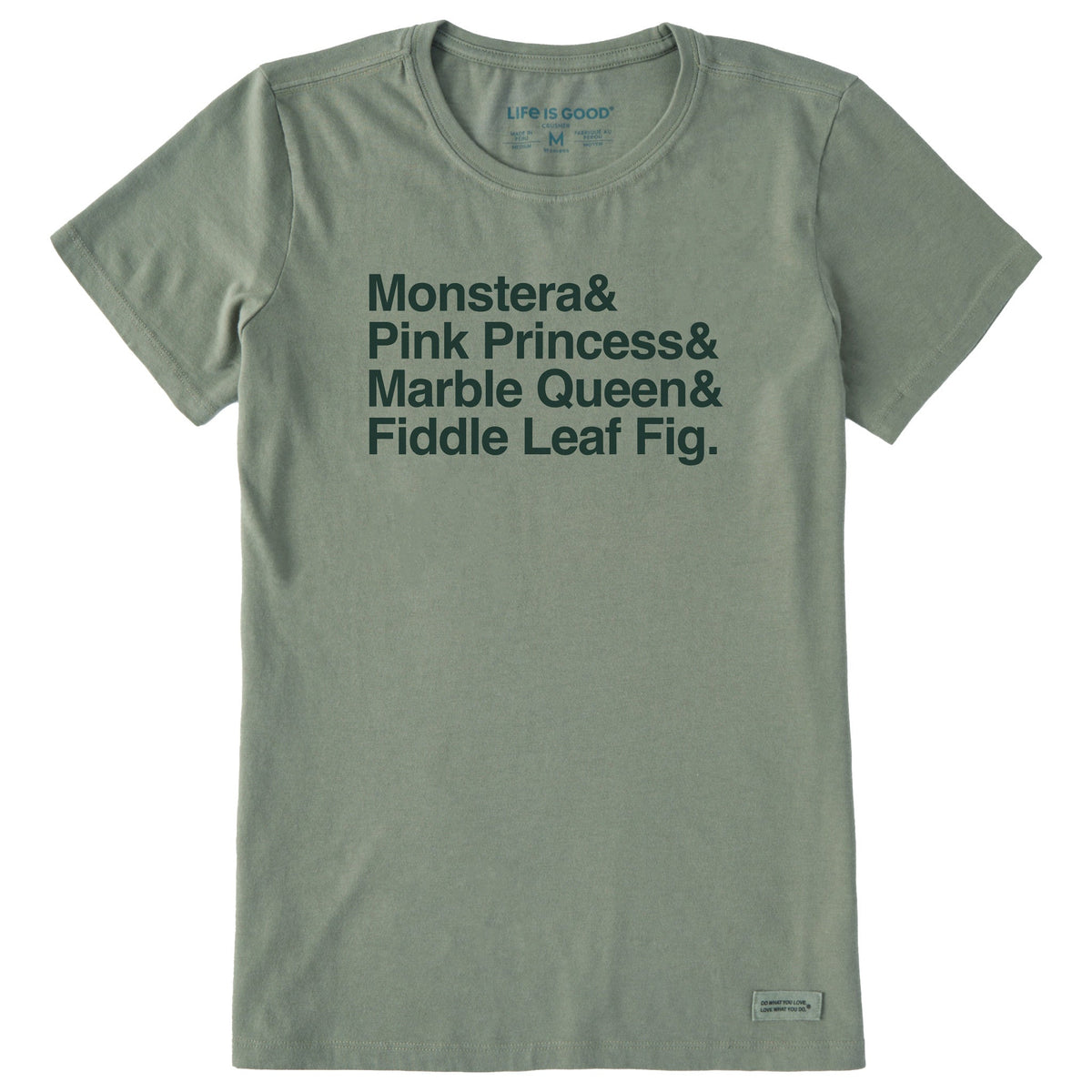Women's Houseplants Stack Short Sleeve Crusher Tee