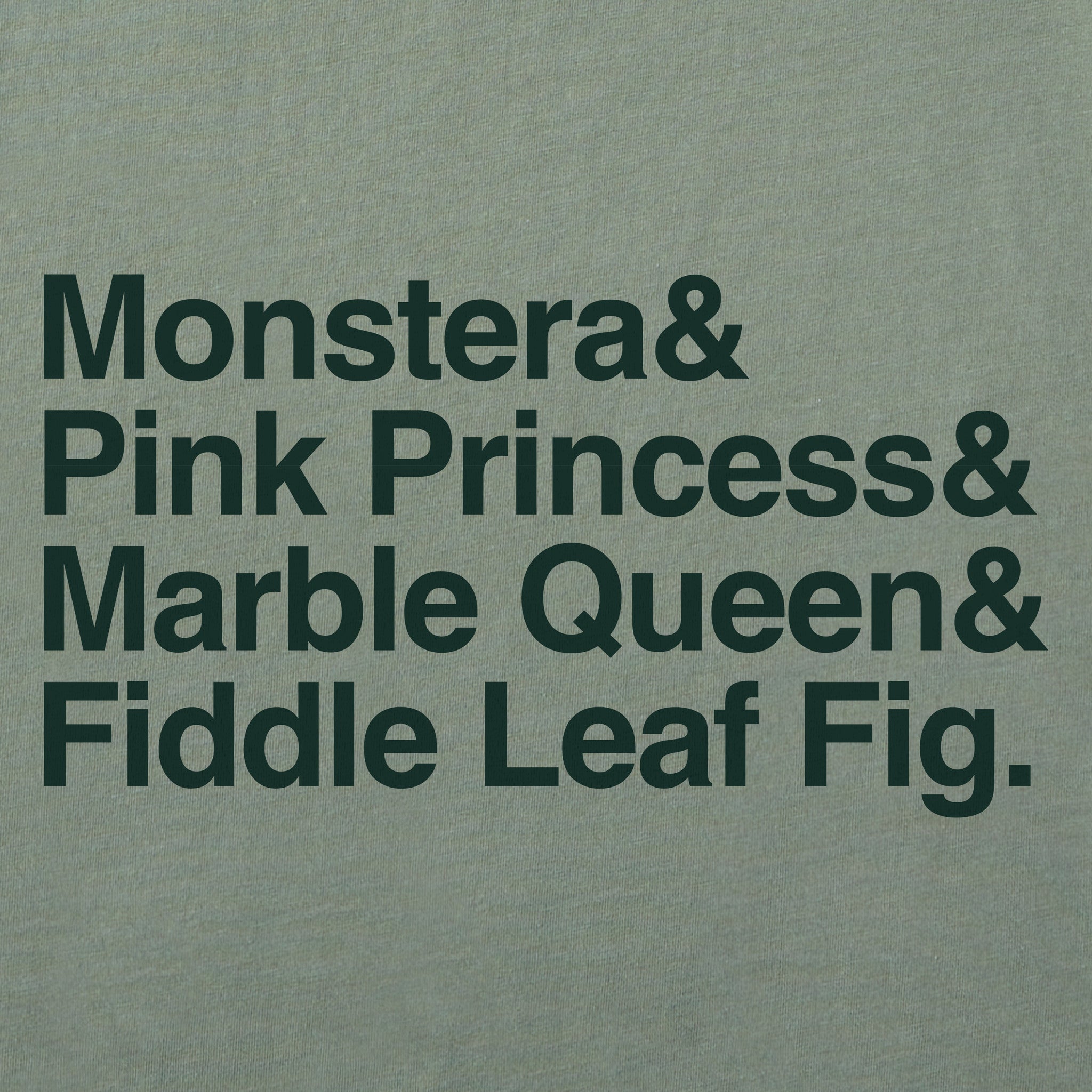 Women's Houseplants Stack Short Sleeve Crusher Tee
