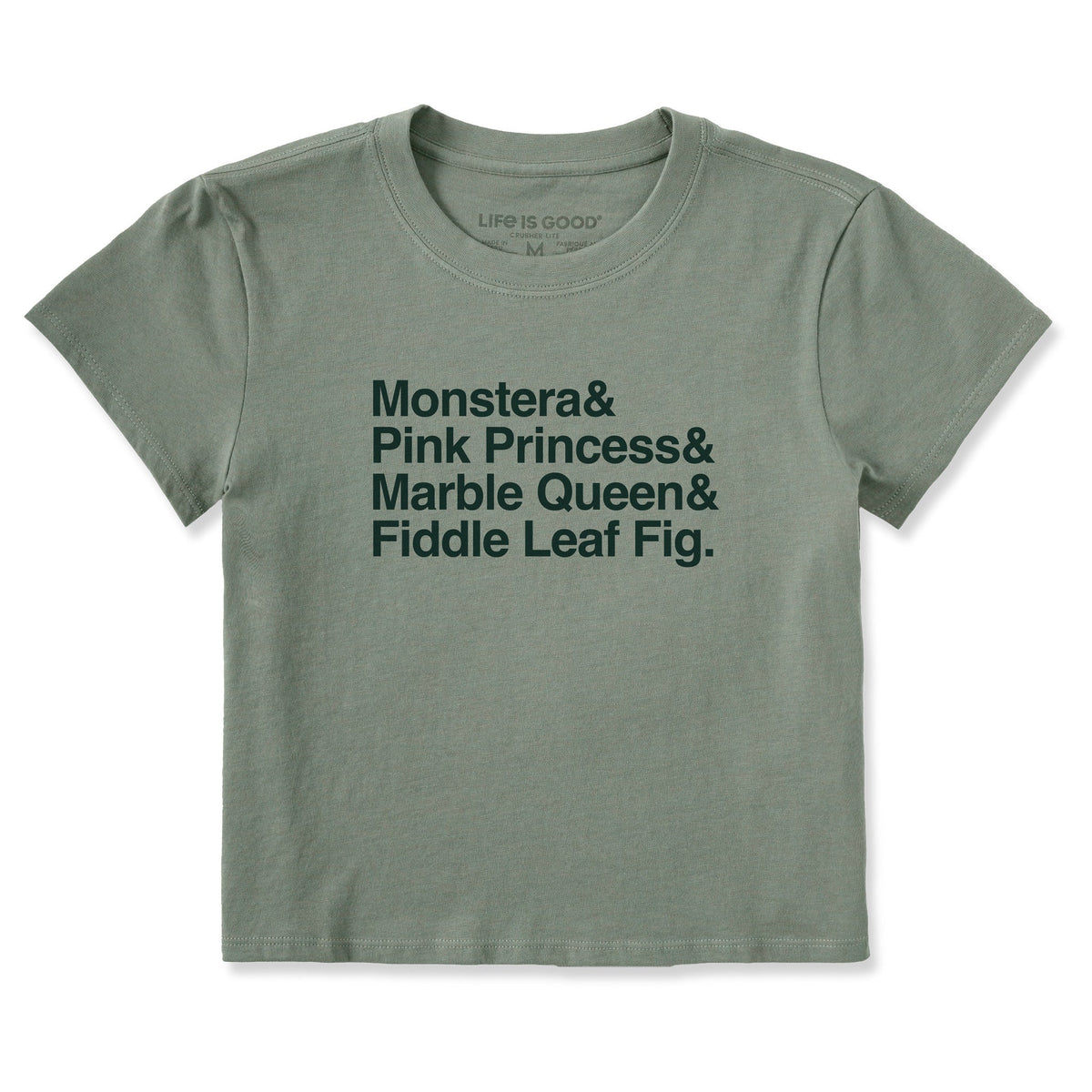 Women's Houseplants Stack Crusher-LITE Shrunken Tee