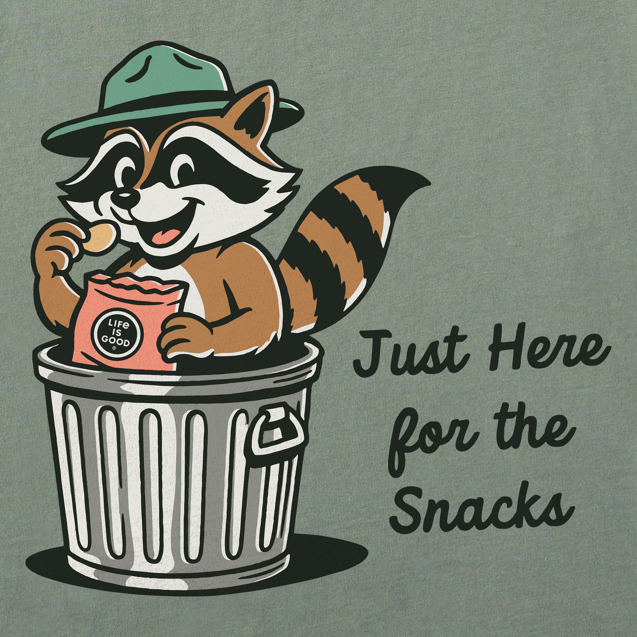 Women's Just Here for The Snacks Raccoon Short Sleeve Crusher Boxy Tee