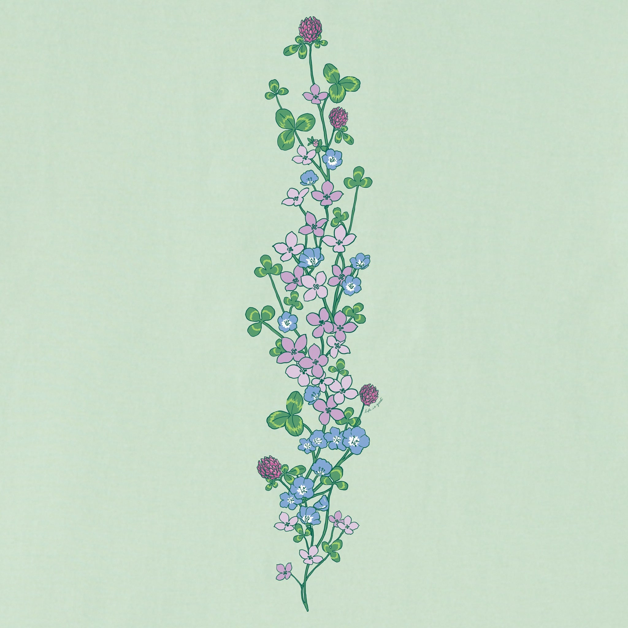 Women's Clovers & Wildflowers Long Sleeve Crusher Vee