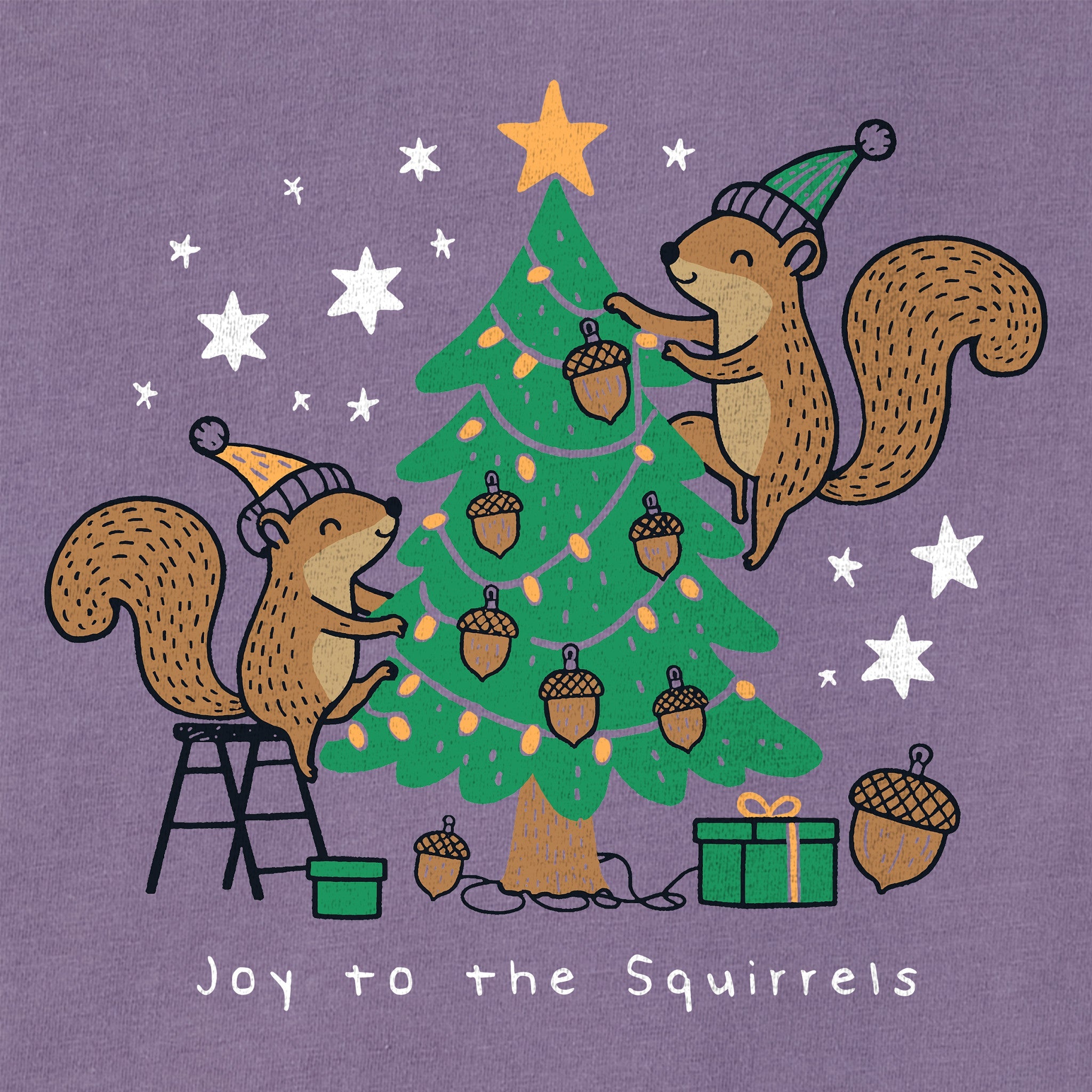 Women's Joy to the Squirrels Long Sleeve Crusher Tee