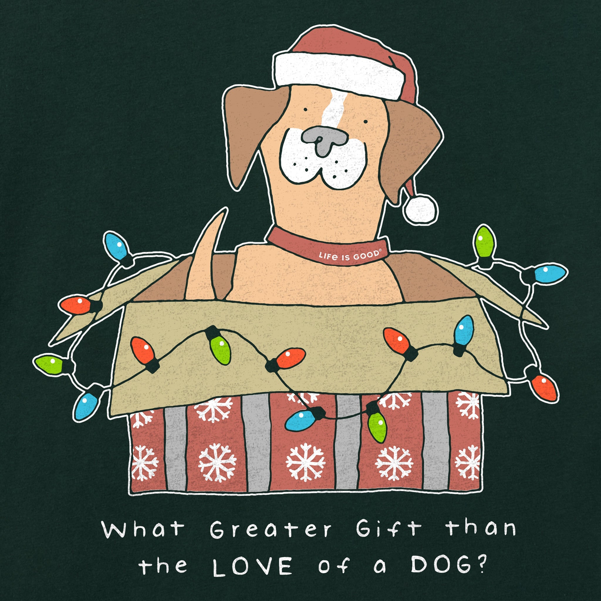 Women's Gift of a Dog Box Short Sleeve Crusher Tee