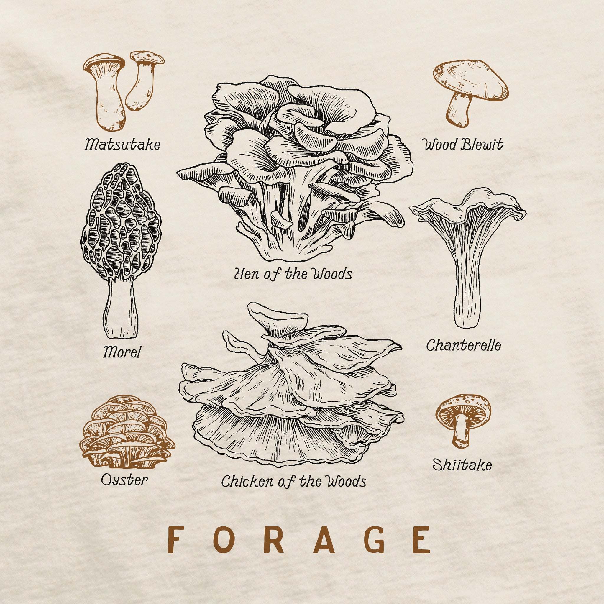 Women's Forage Short Sleeve Crusher Boxy Tee