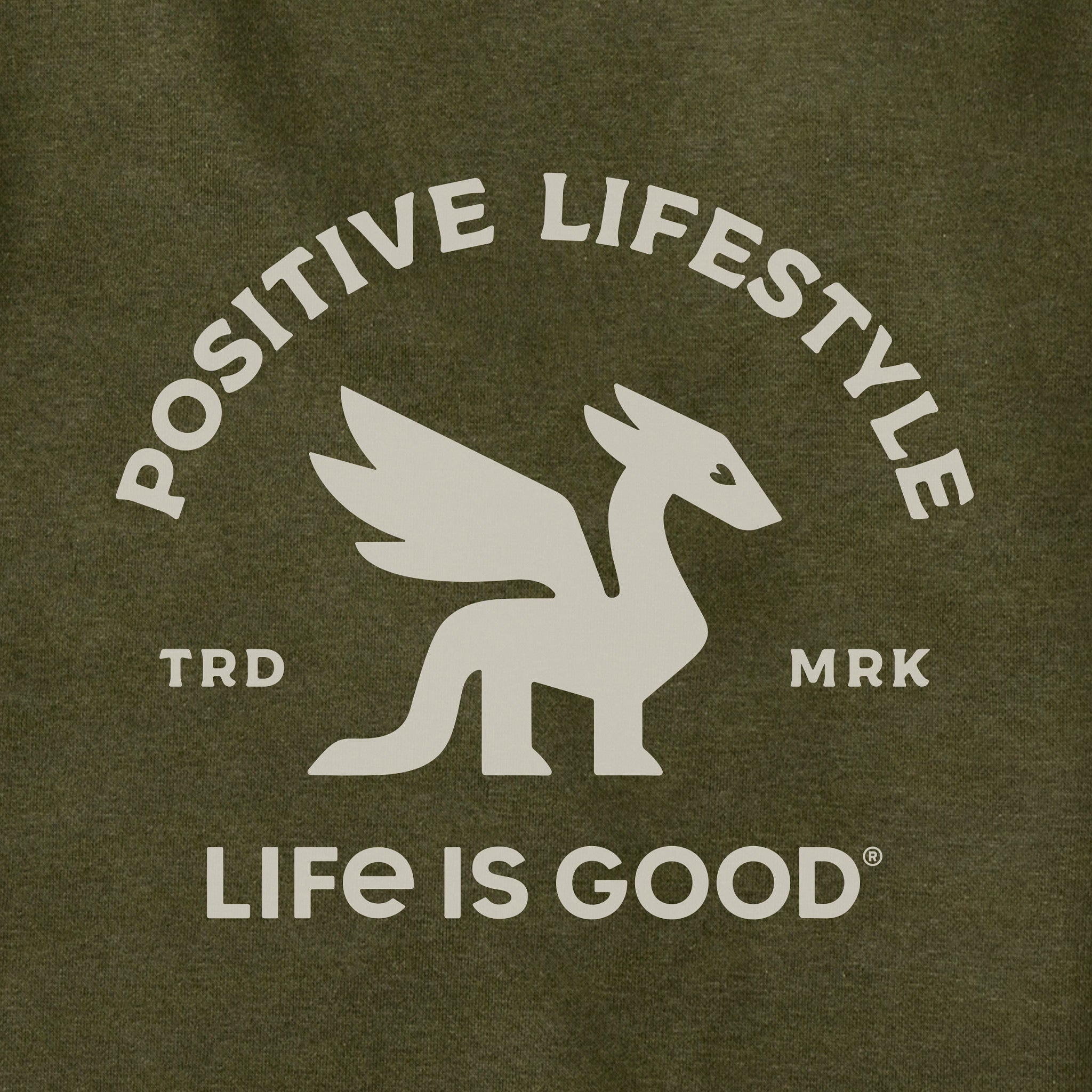 Adult Unisex Positive Lifestyle Dragon Every Wear Hoodie Sweatshirt