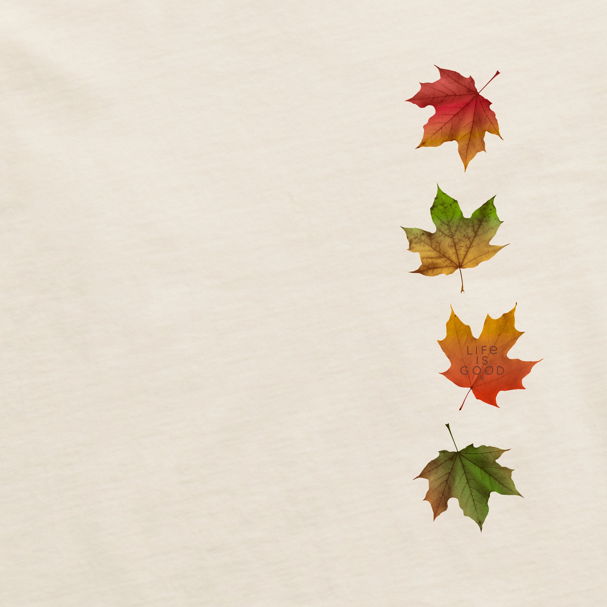 Women's Leaves Fluttering Long Sleeve Crusher Tee