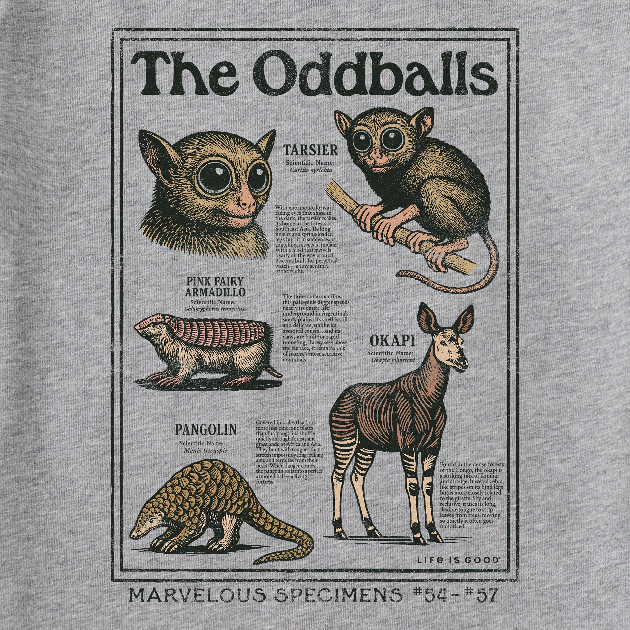 Kids The Oddballs Short Sleeve Crusher Tee