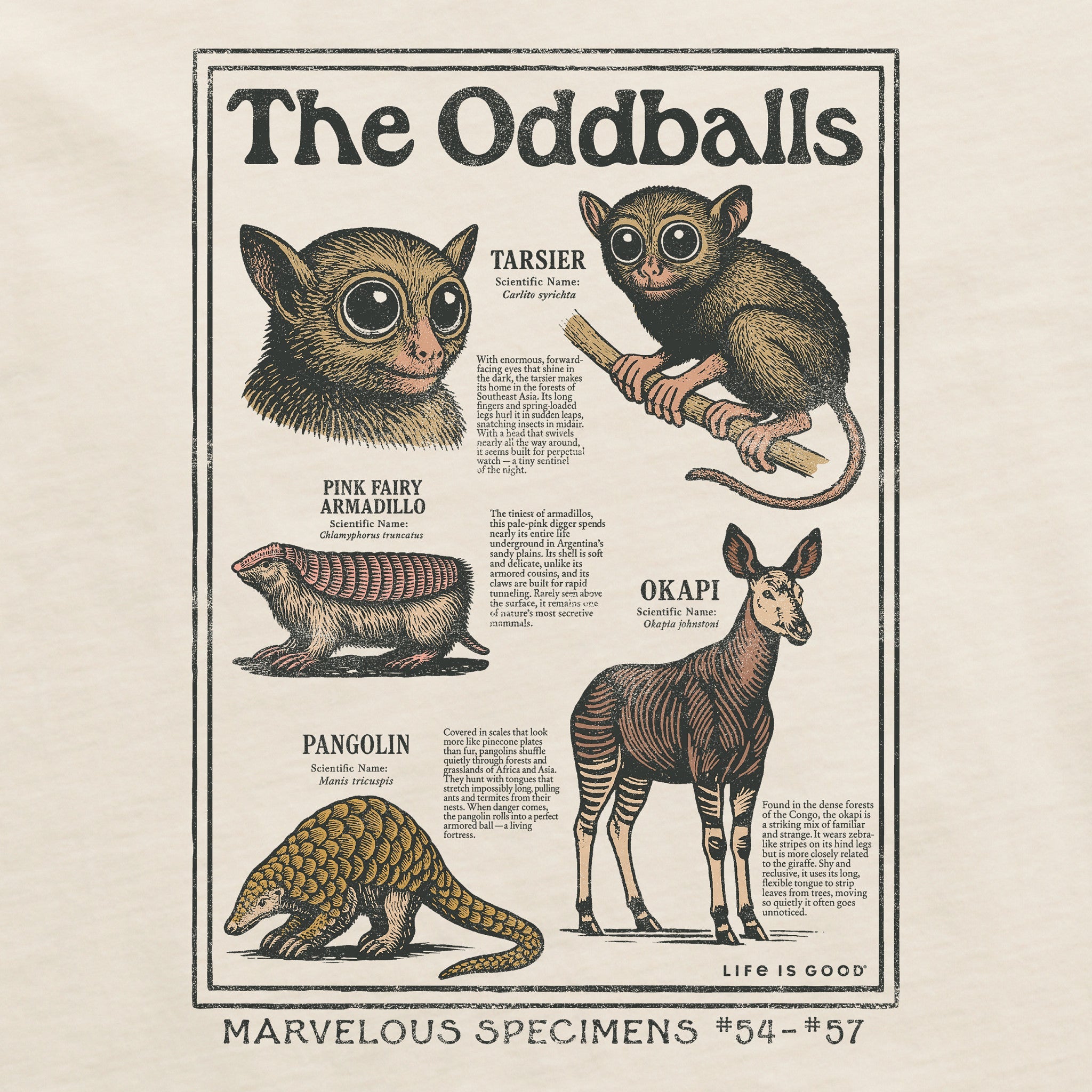 Men's The Oddballs Short Sleeve Crusher Tee