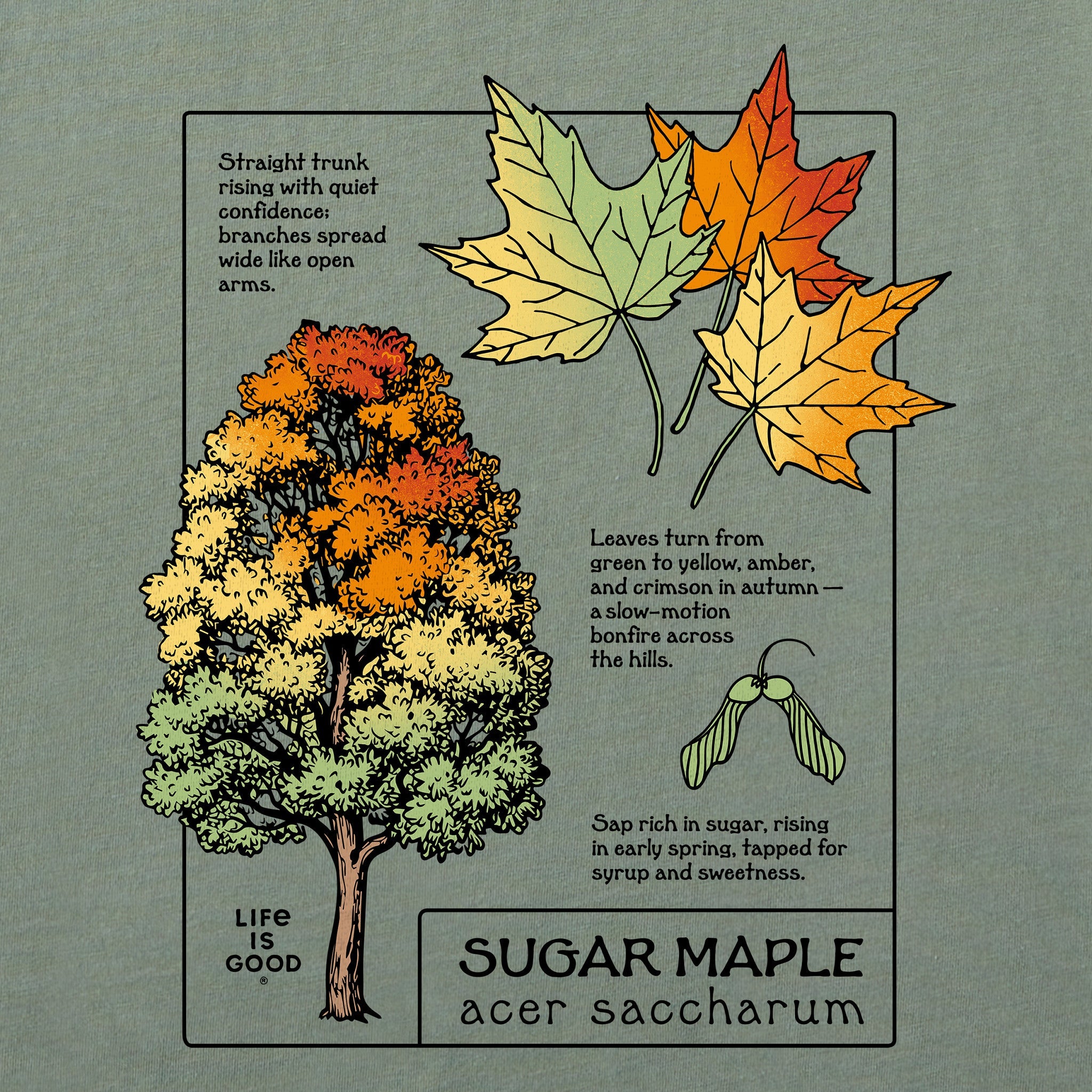 Men's Marvelous Sugar Maple Short Sleeve Crusher Tee