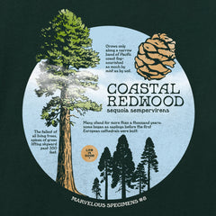 Women's Coastal Redwood Long Sleeve Crusher Tee