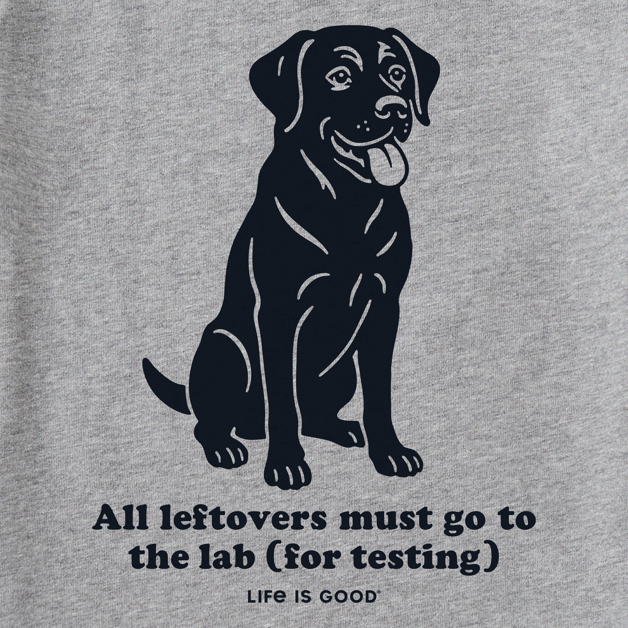 Kids Leftover Lab Short Sleeve Crusher Tee