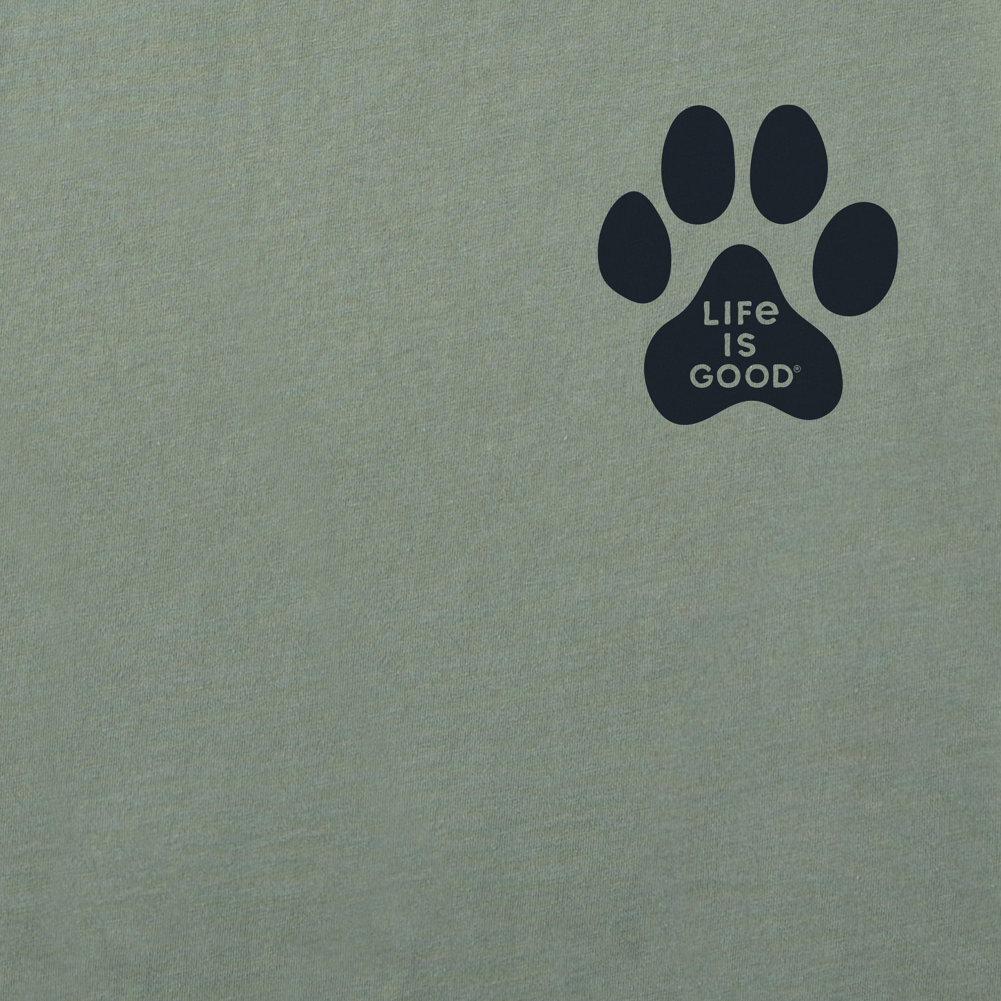 Men's Walking Paws Simply True Fleece Hoodie