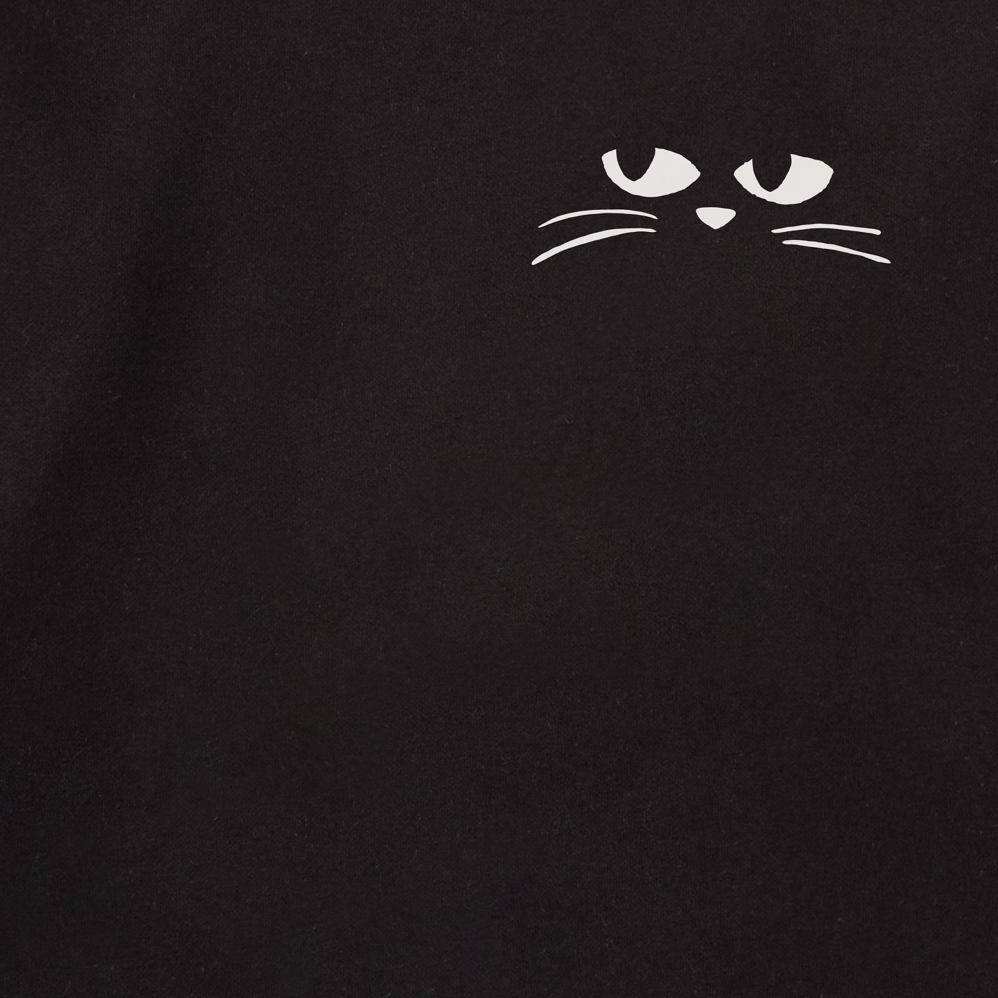 Adult Unisex Crazy Cat Lady Every Wear Hoodie Sweatshirt