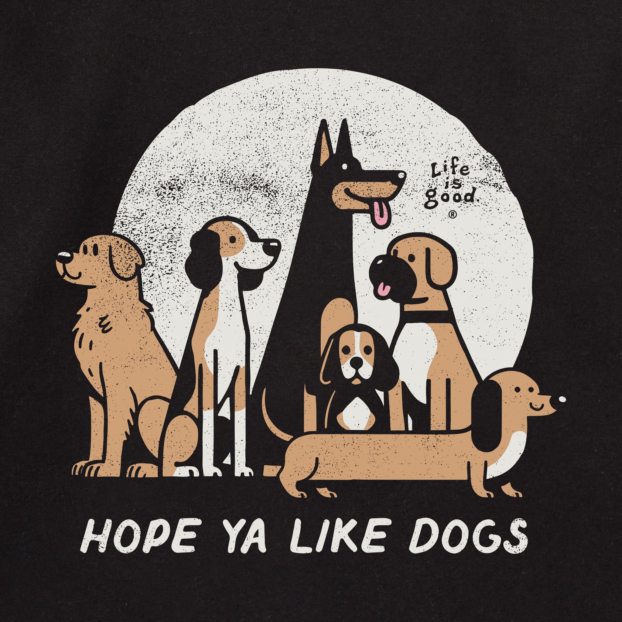 Adult Unisex  Every Wear Hoodie Sweatshirt