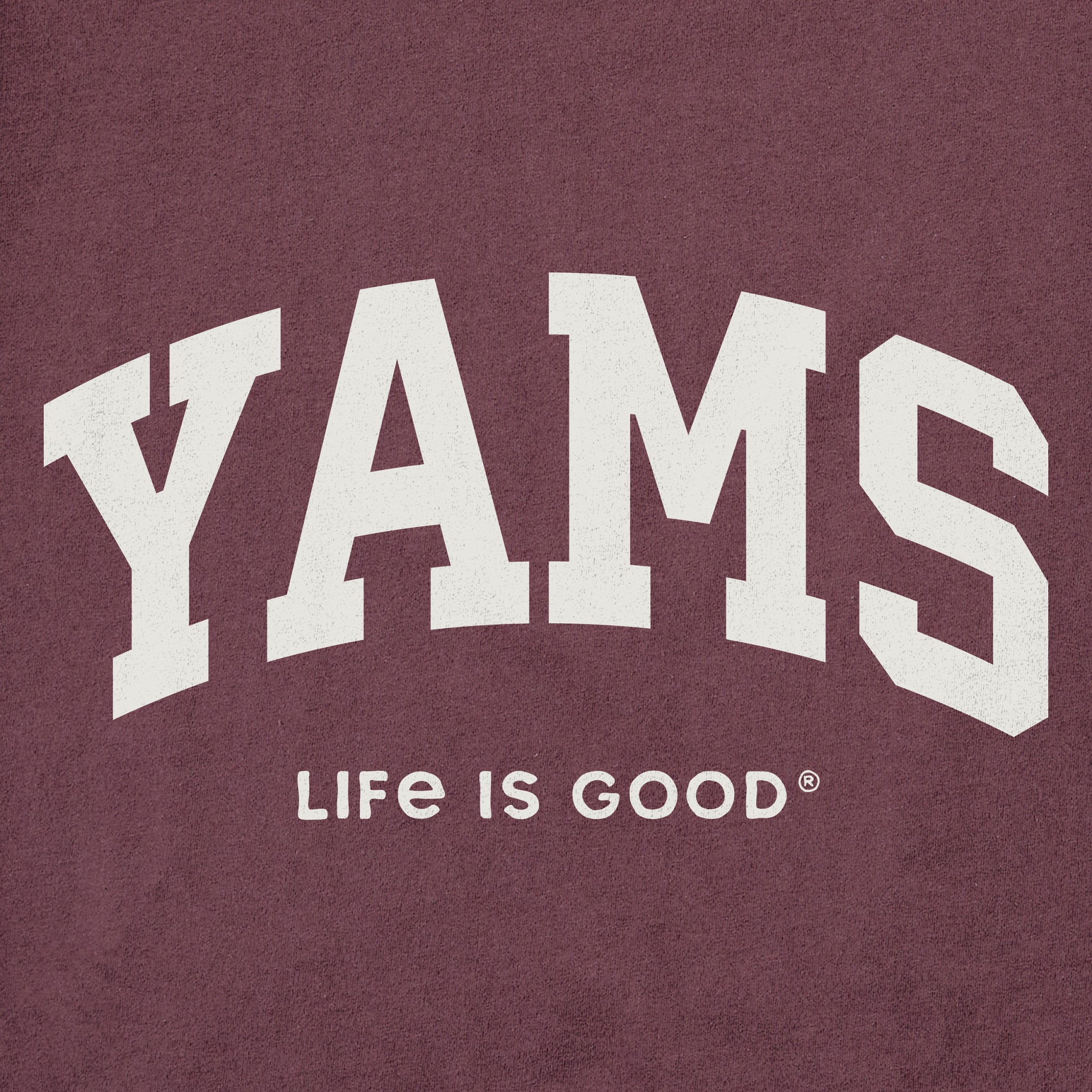 Men's Yams Arch Long Sleeve Crusher Tee