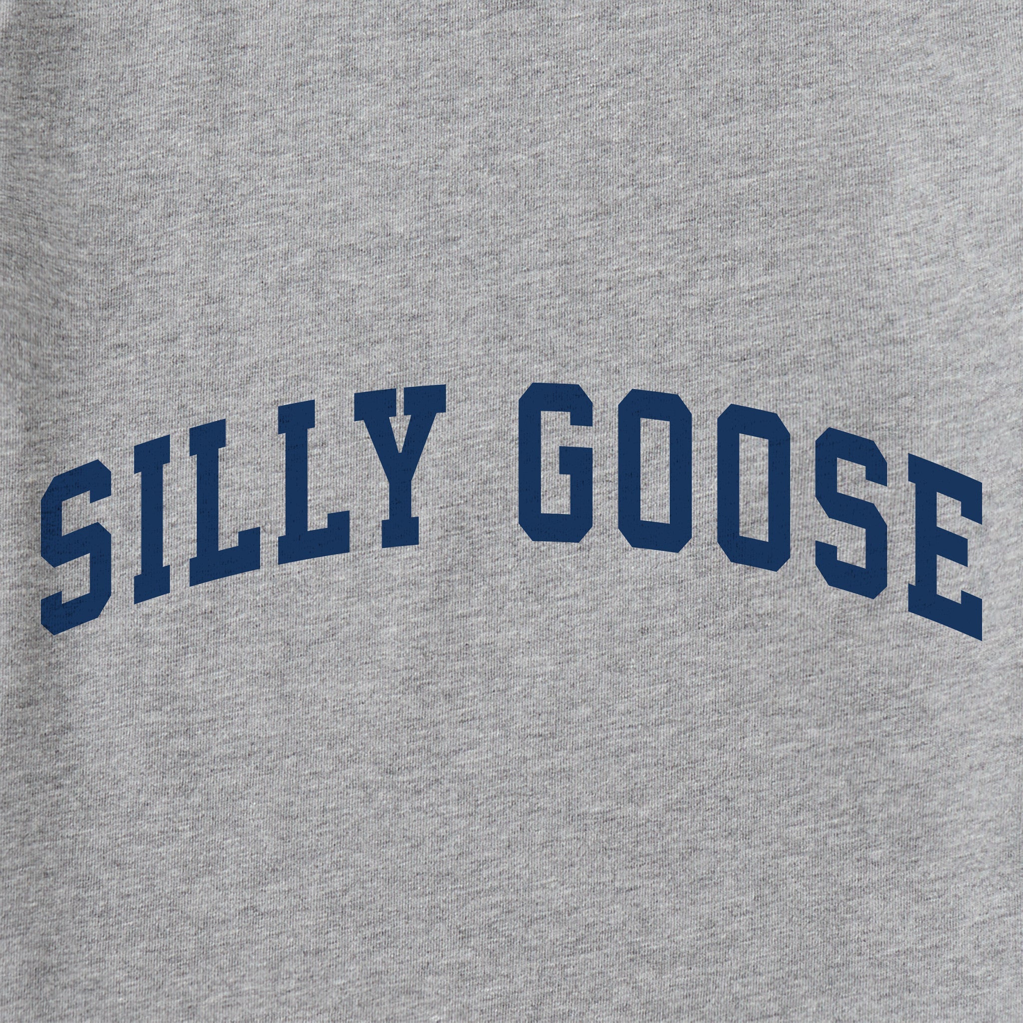 Men's Silly Goose Arch Short Sleeve Crusher Tee