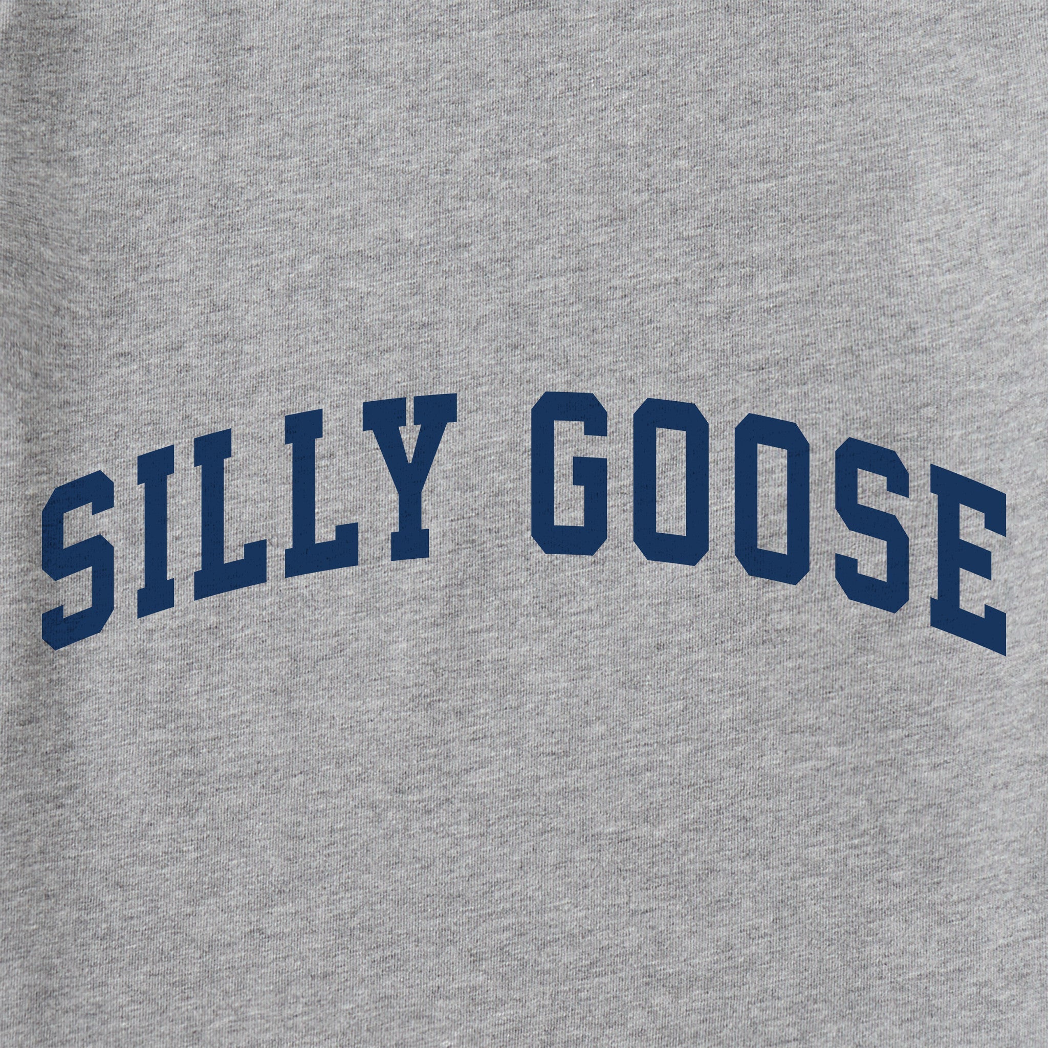 Kids Silly Goose Arch Long Sleeve Crusher Tee