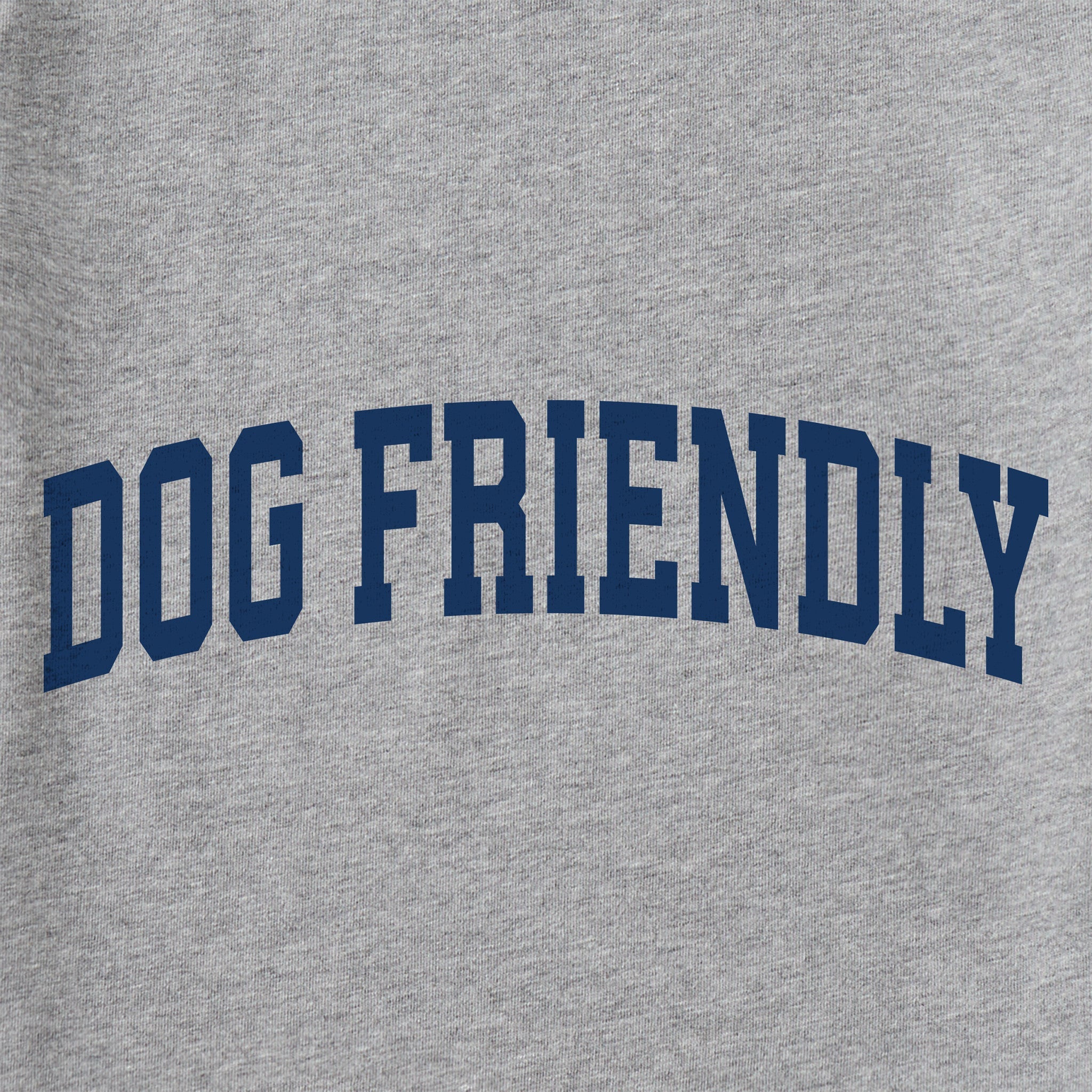 Kids Dog Friendly Arch Short Sleeve Crusher Tee