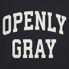 Men's Openly Gray Arch Short Sleeve Crusher Tee