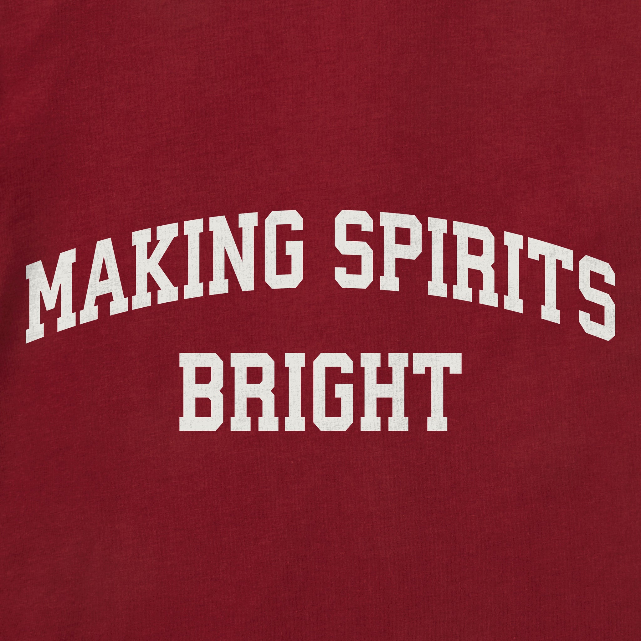 Toddler Making Spirits Bright Arch Short Sleeve Crusher Tee