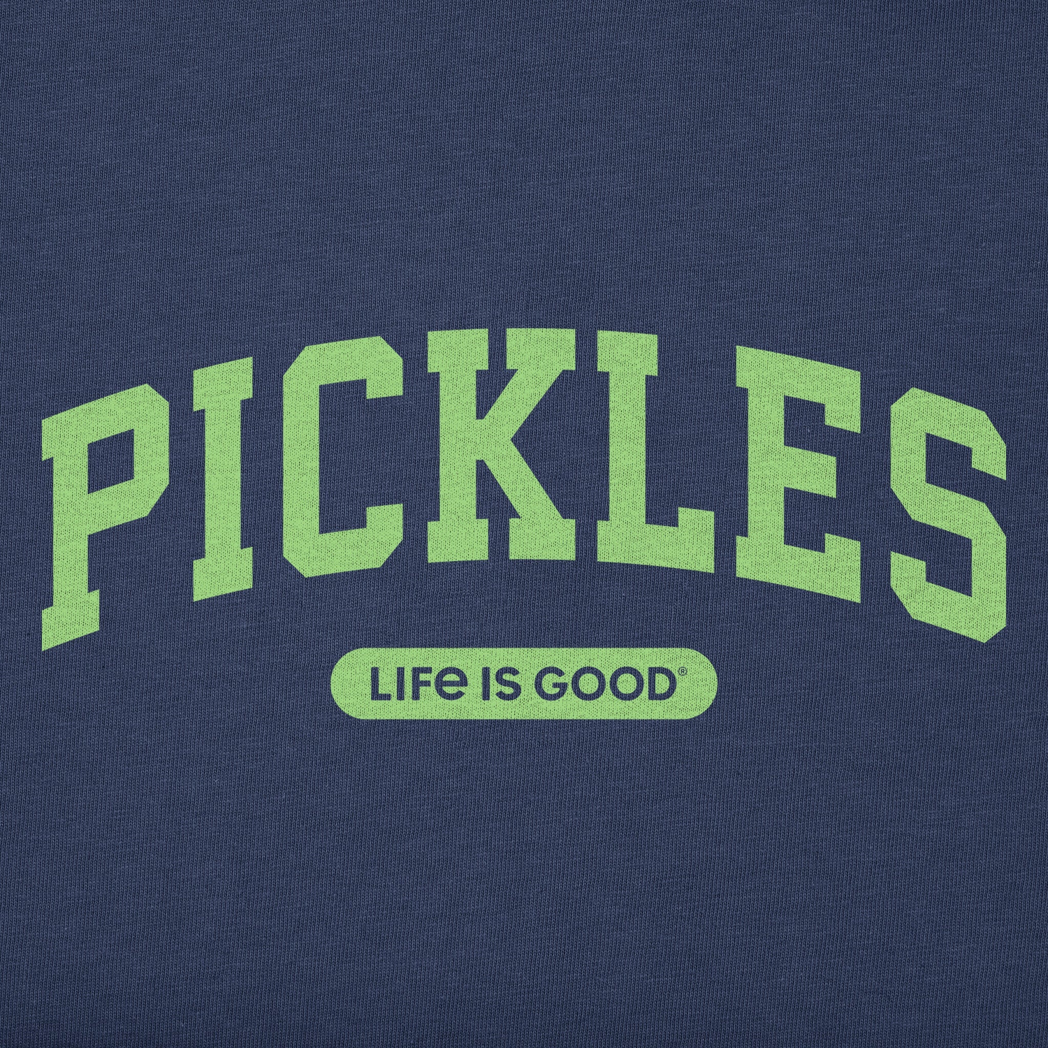 Toddler Pickles Arch Short Sleeve Crusher Tee