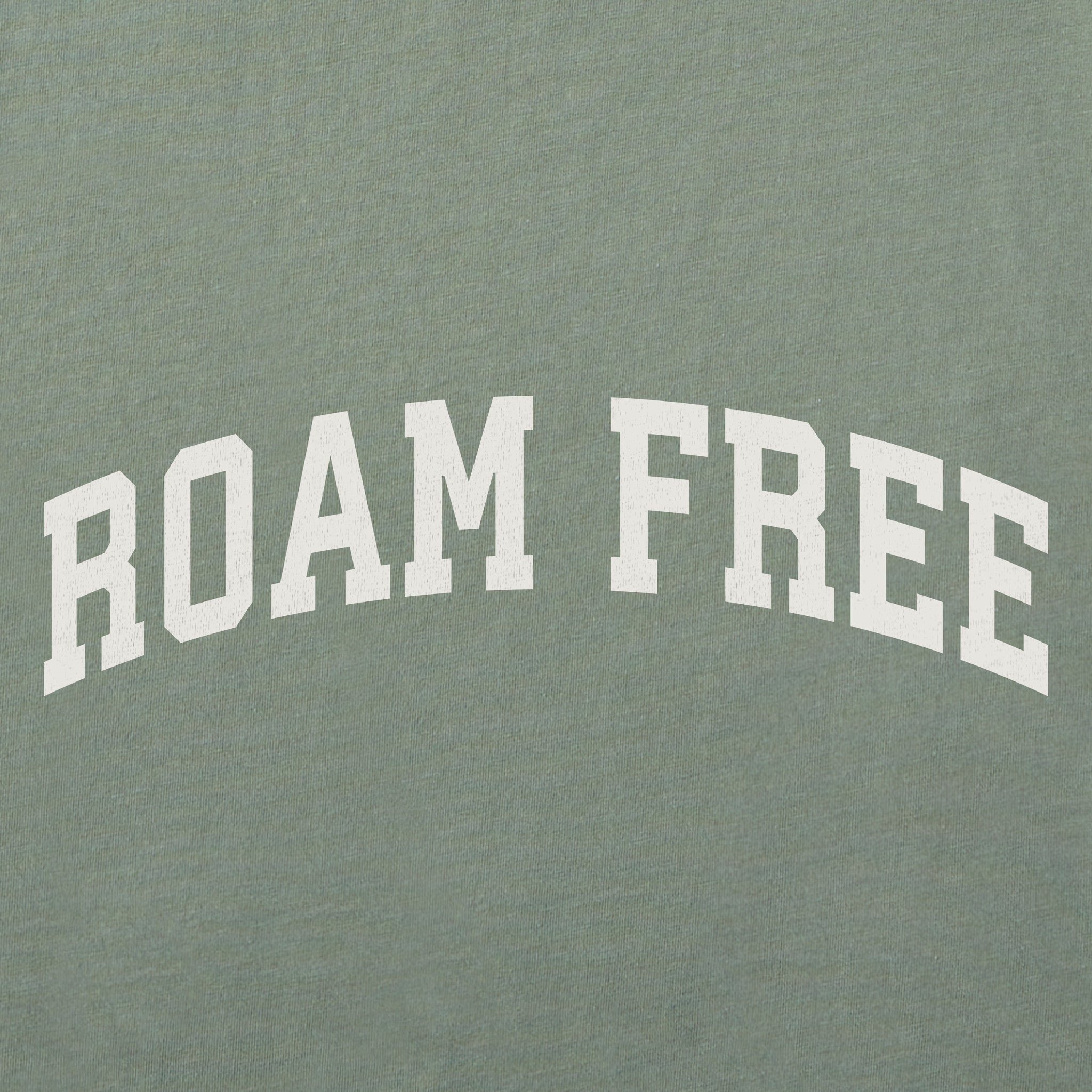 Men's Roam Free Arch Short Sleeve Crusher Tee