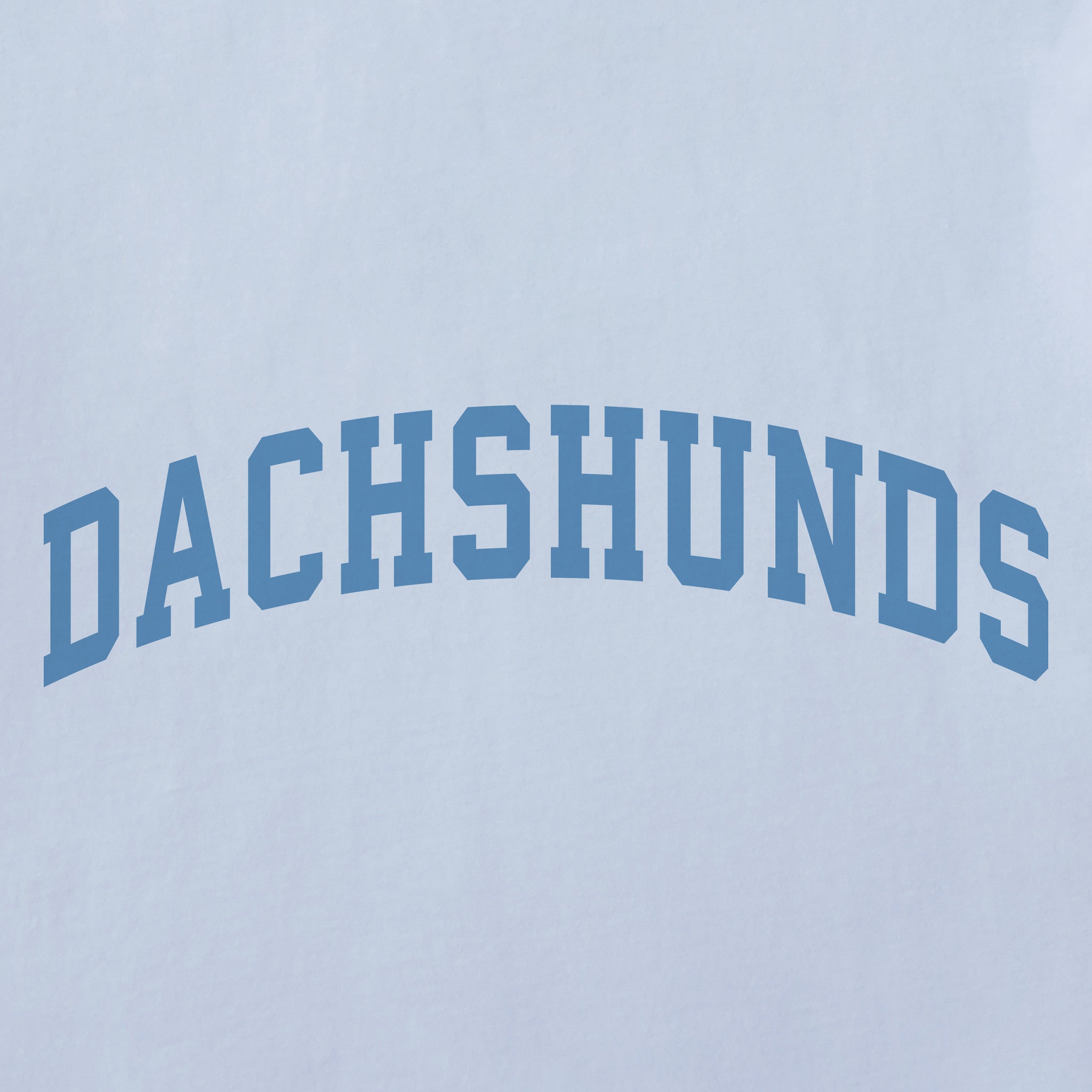 Women's Dachshunds Arch Short Sleeve Crusher Boxy Tee