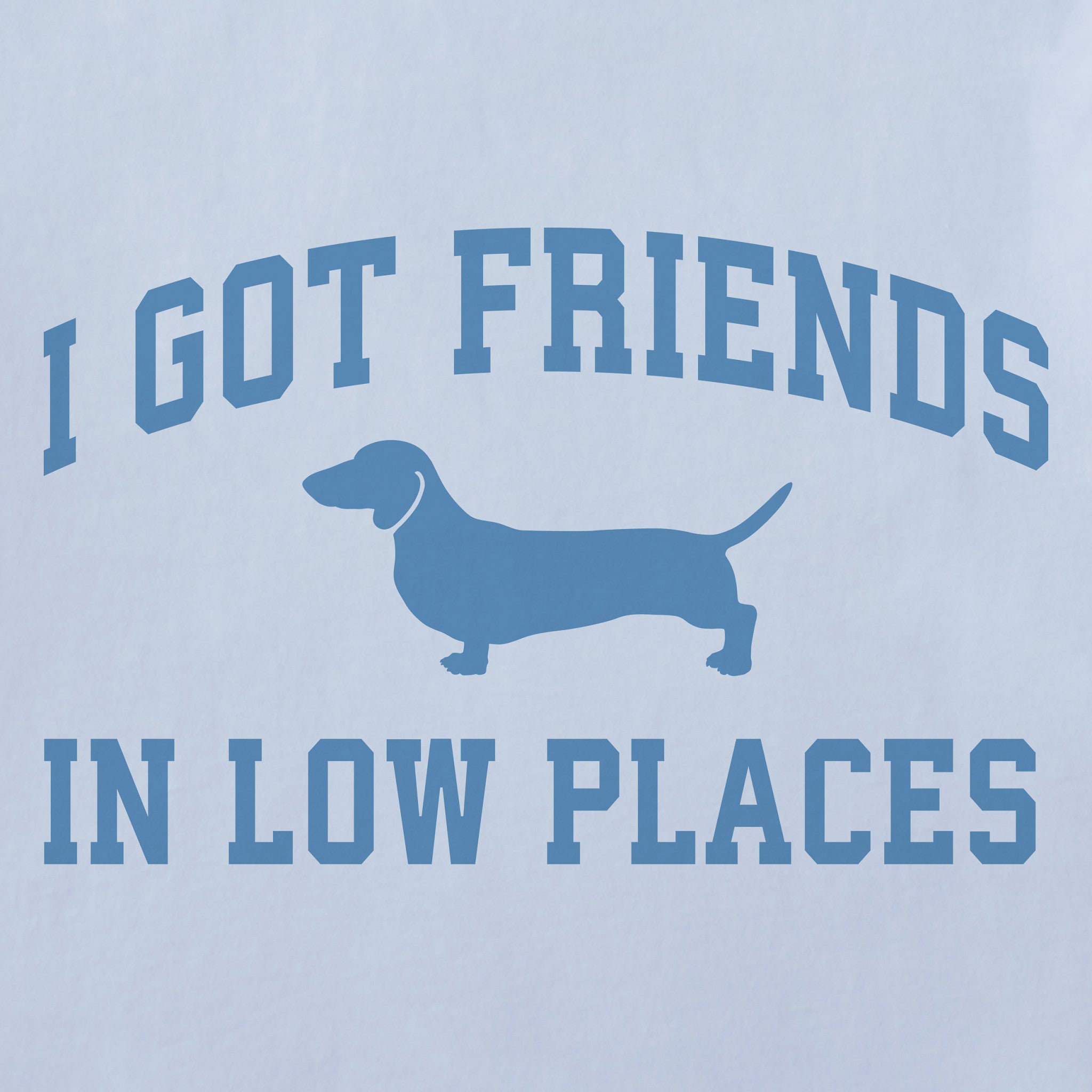 Women's I Got Friends Arch Short Sleeve Crusher Boxy Tee