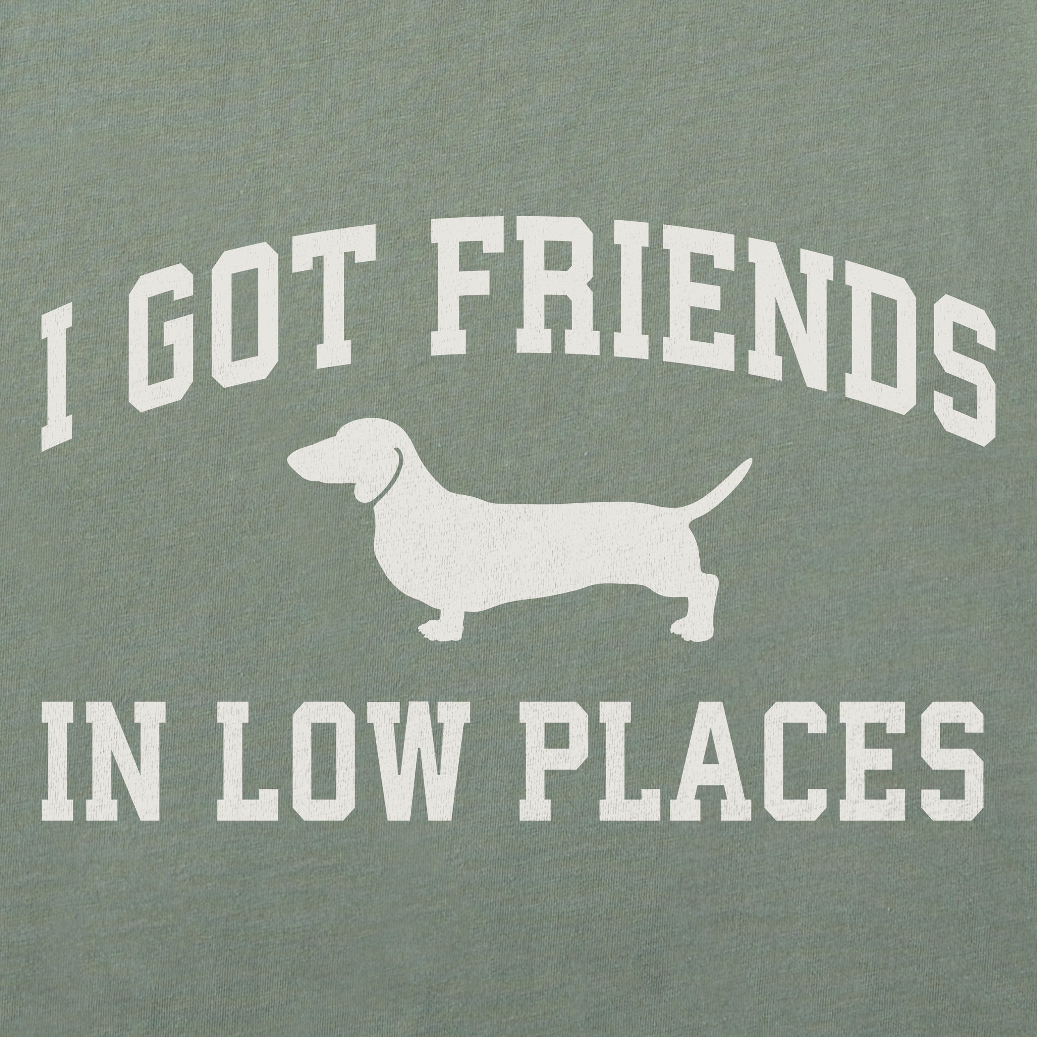 Women's I Got Friends Arch Crusher-LITE Shrunken Tee