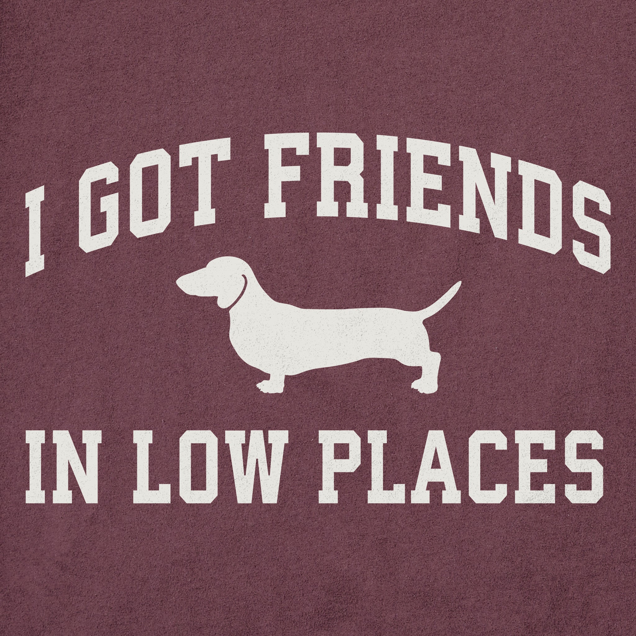 Women's I Got Friends Arch Short Sleeve Crusher Tee