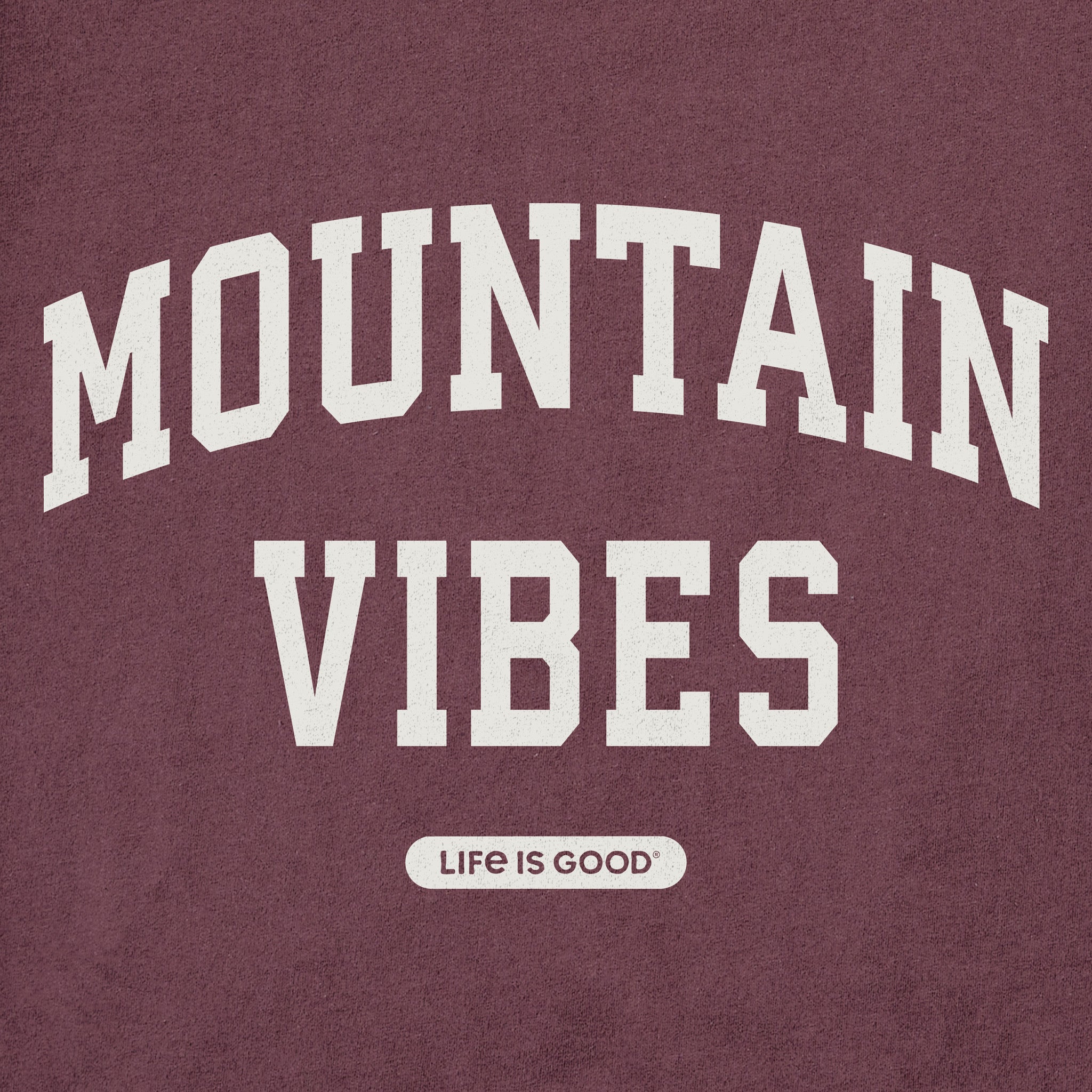 Men's Mountain Vibes Arch Long Sleeve Crusher Tee