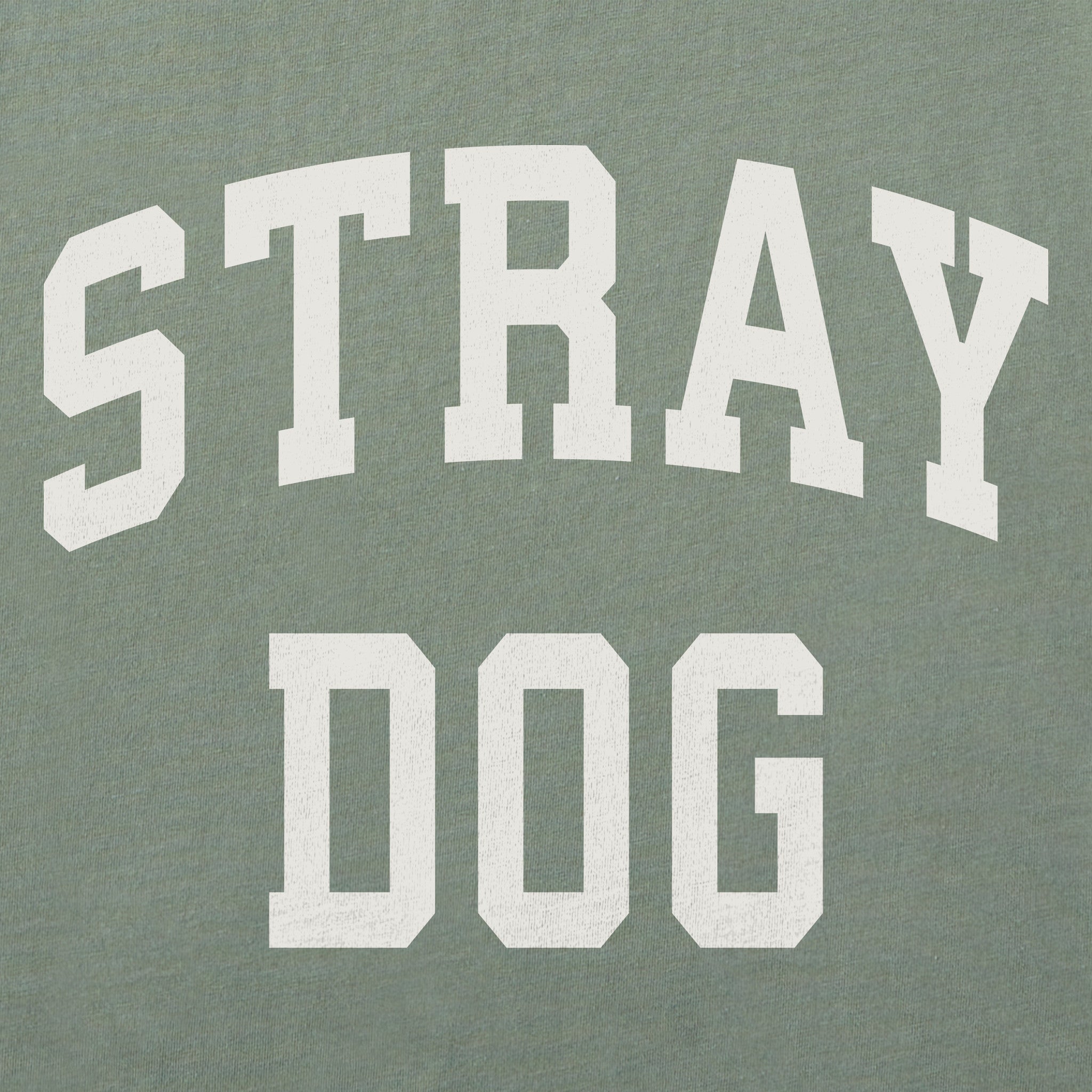 Men's Stray Dog Arch Short Sleeve Crusher Tee