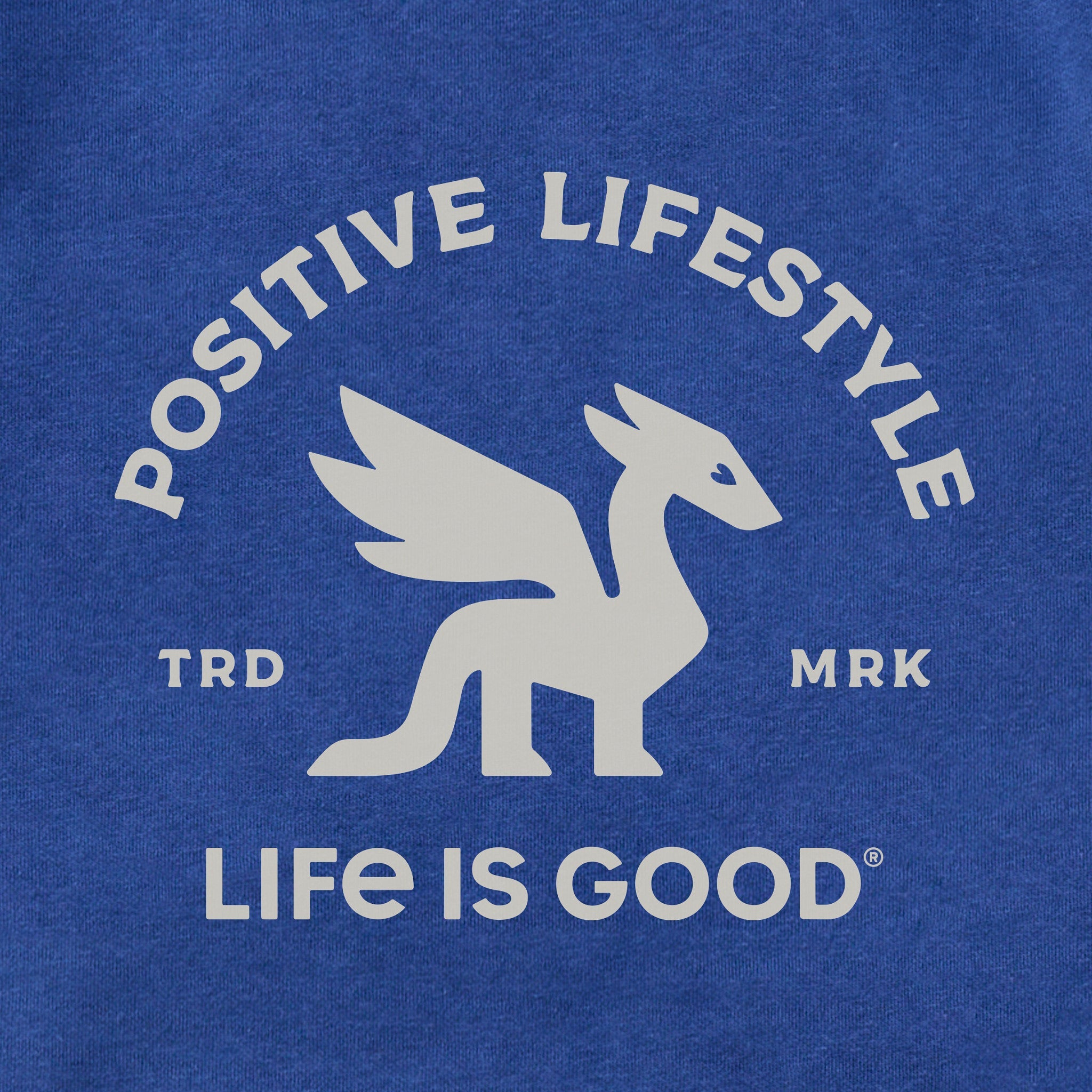 Adult Unisex Positive Lifestyle Dragon Every Wear Hoodie Sweatshirt