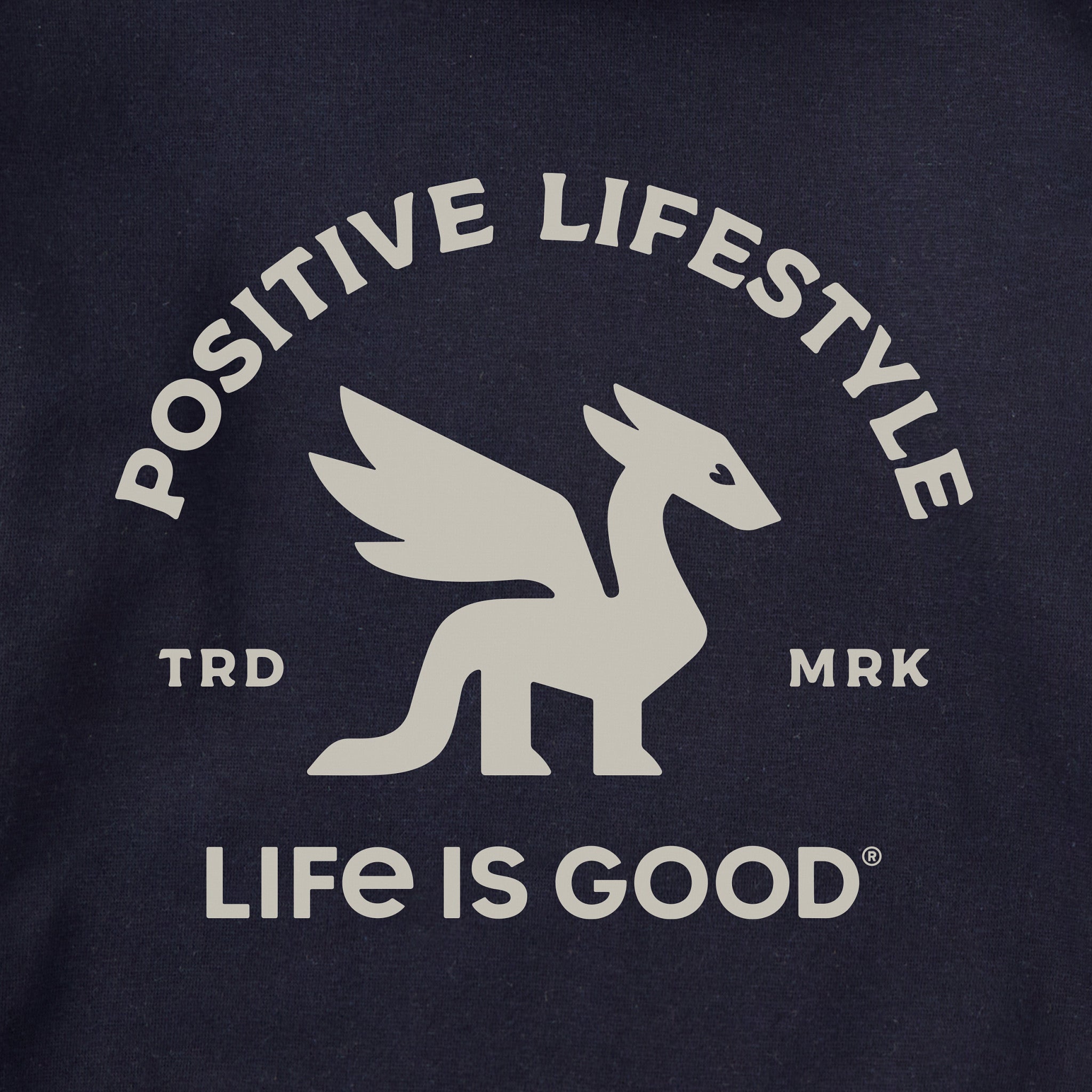 Adult Unisex Positive Lifestyle Dragon Every Wear Hoodie Sweatshirt