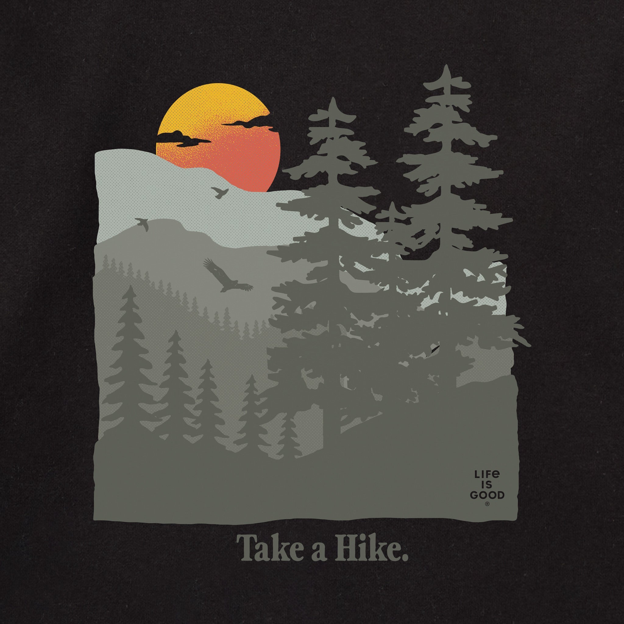 Adult Unisex Take a Hike Mountains Every Wear Hoodie Sweatshirt