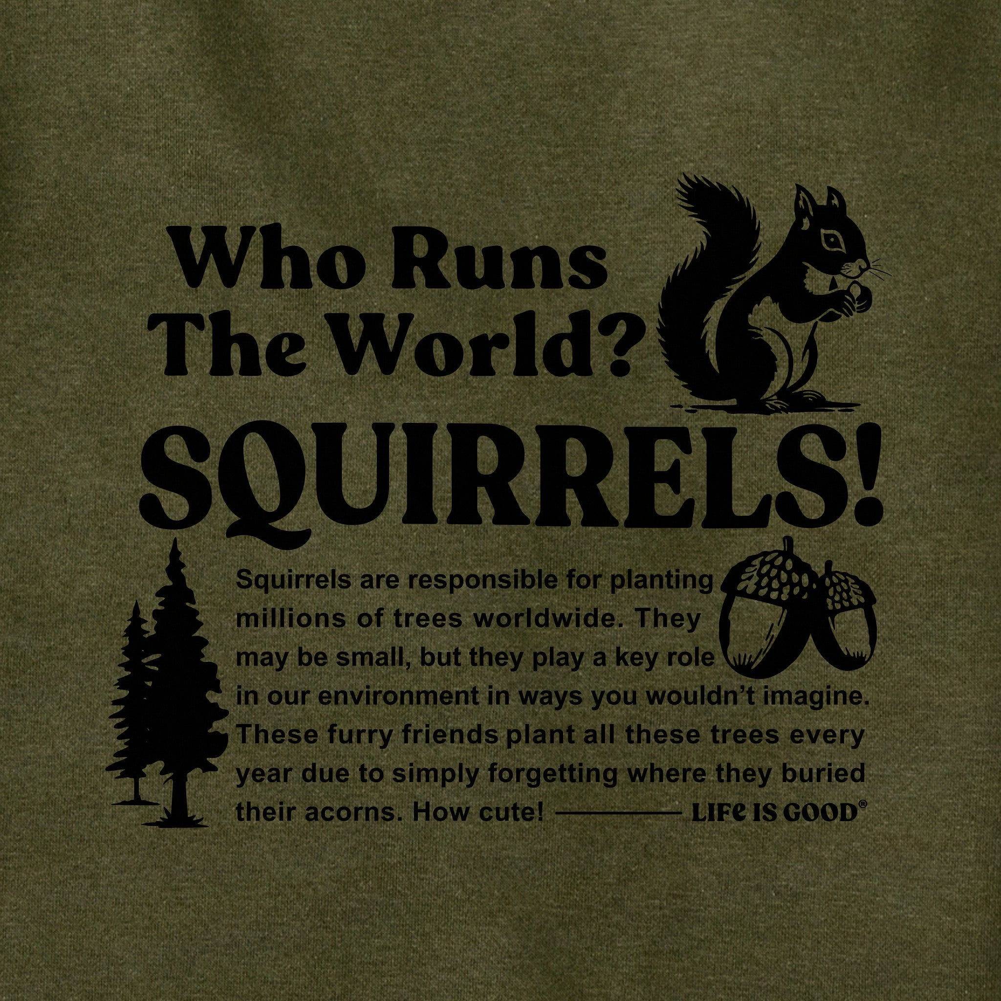 Adult Unisex Squirrels Run the World Every Wear Hoodie Sweatshirt