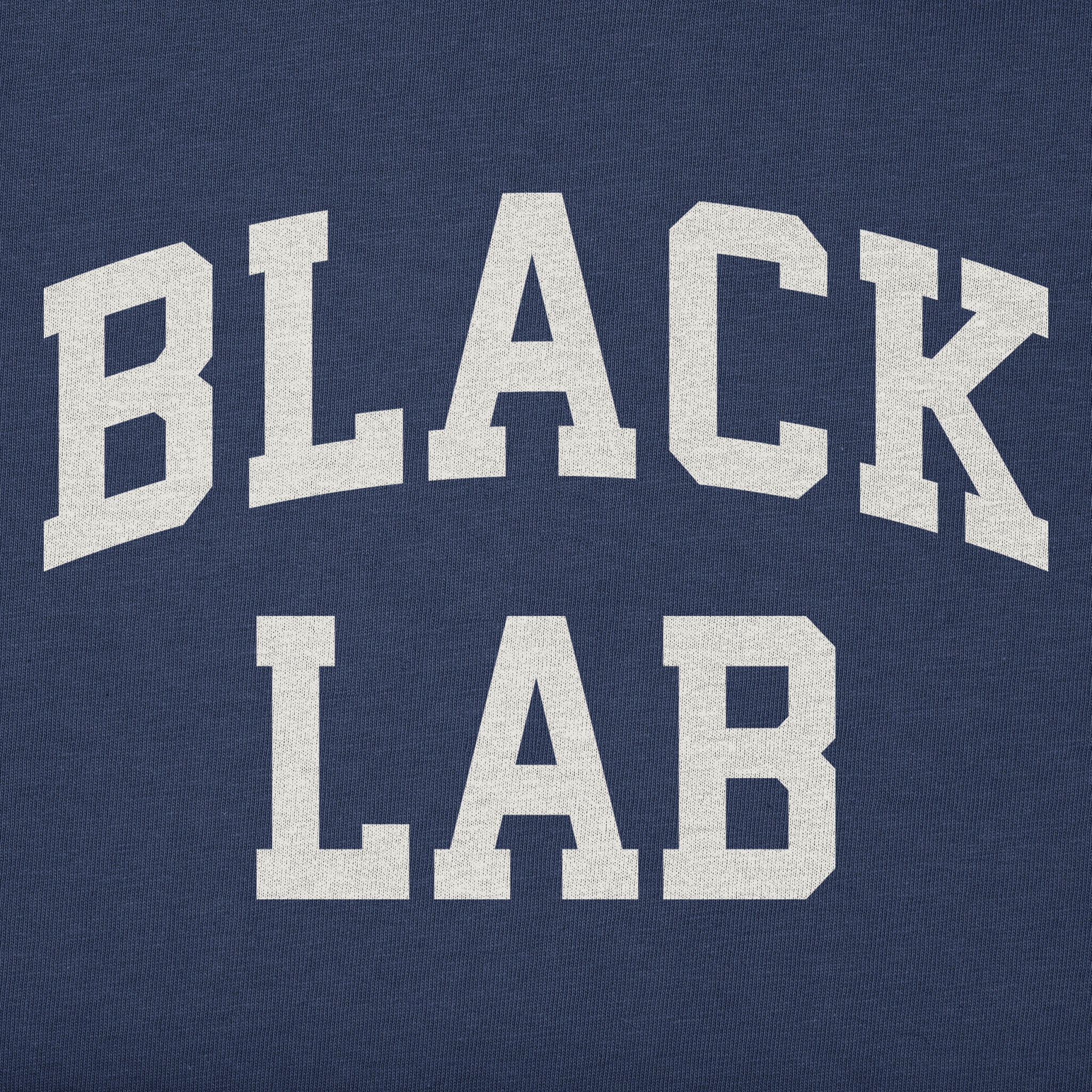 Toddler Black Lab Arch Short Sleeve Crusher Tee