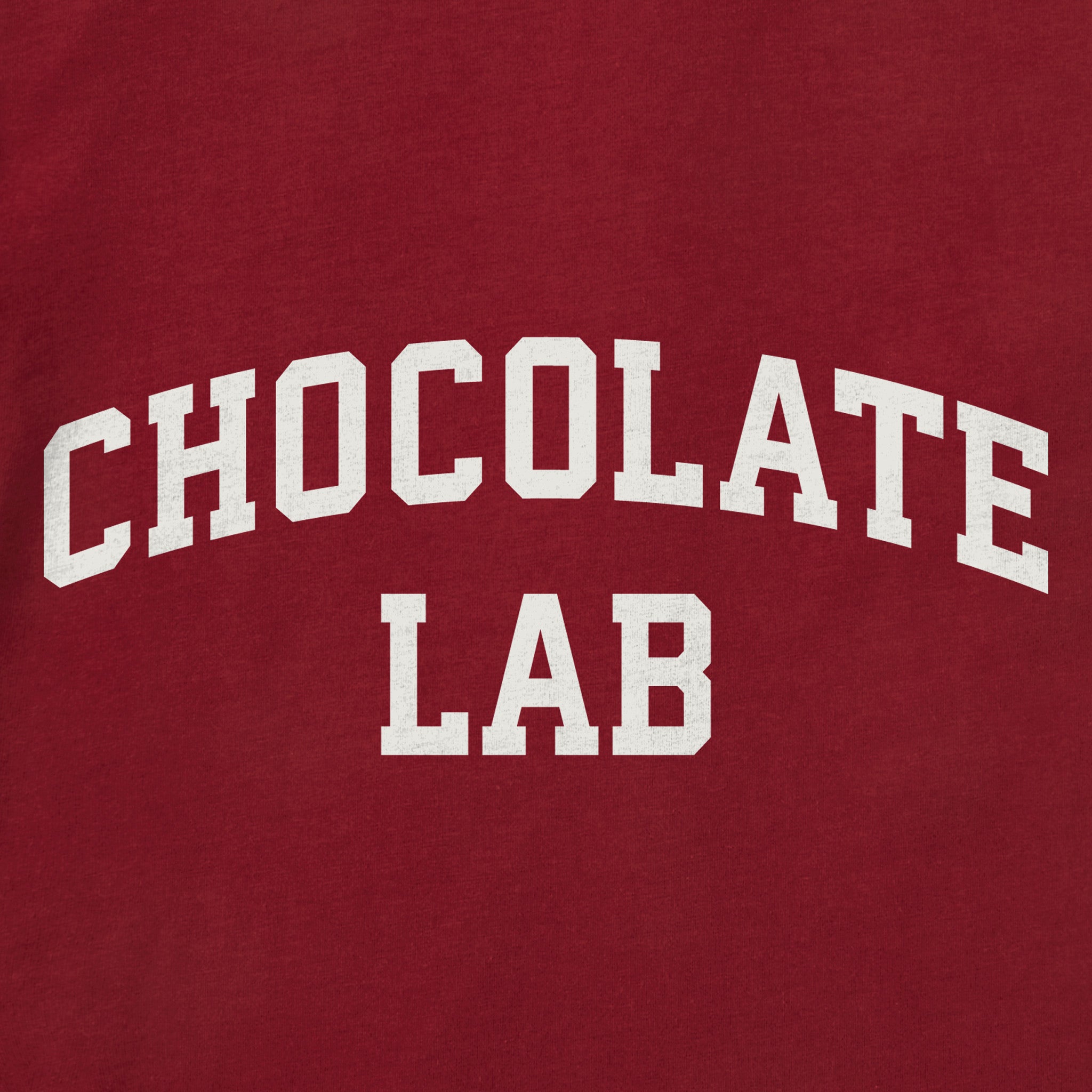 Toddler Chocolate Lab Arch Short Sleeve Crusher Tee