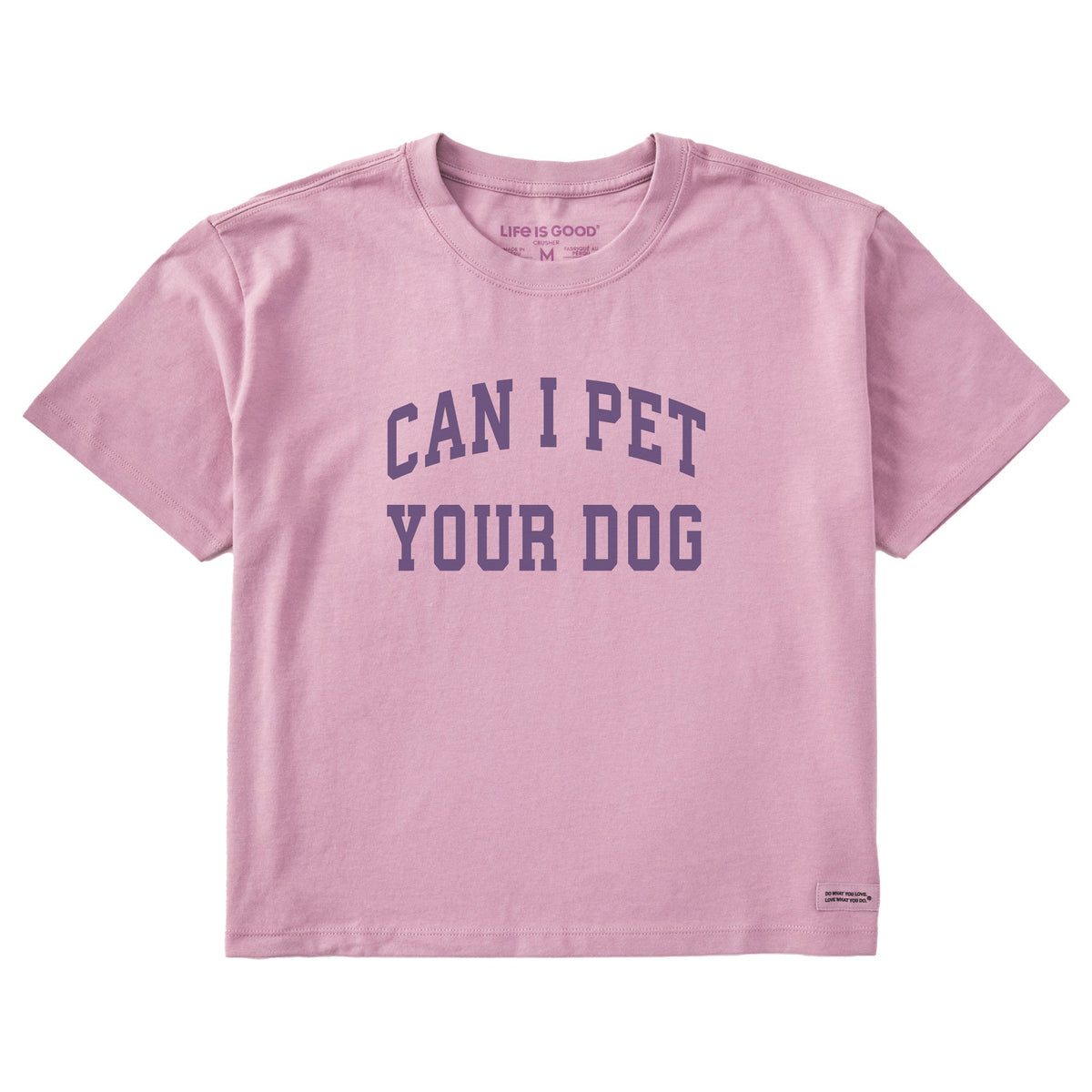 Women's Can I Pet Your Dog Arch Short Sleeve Crusher Boxy Tee
