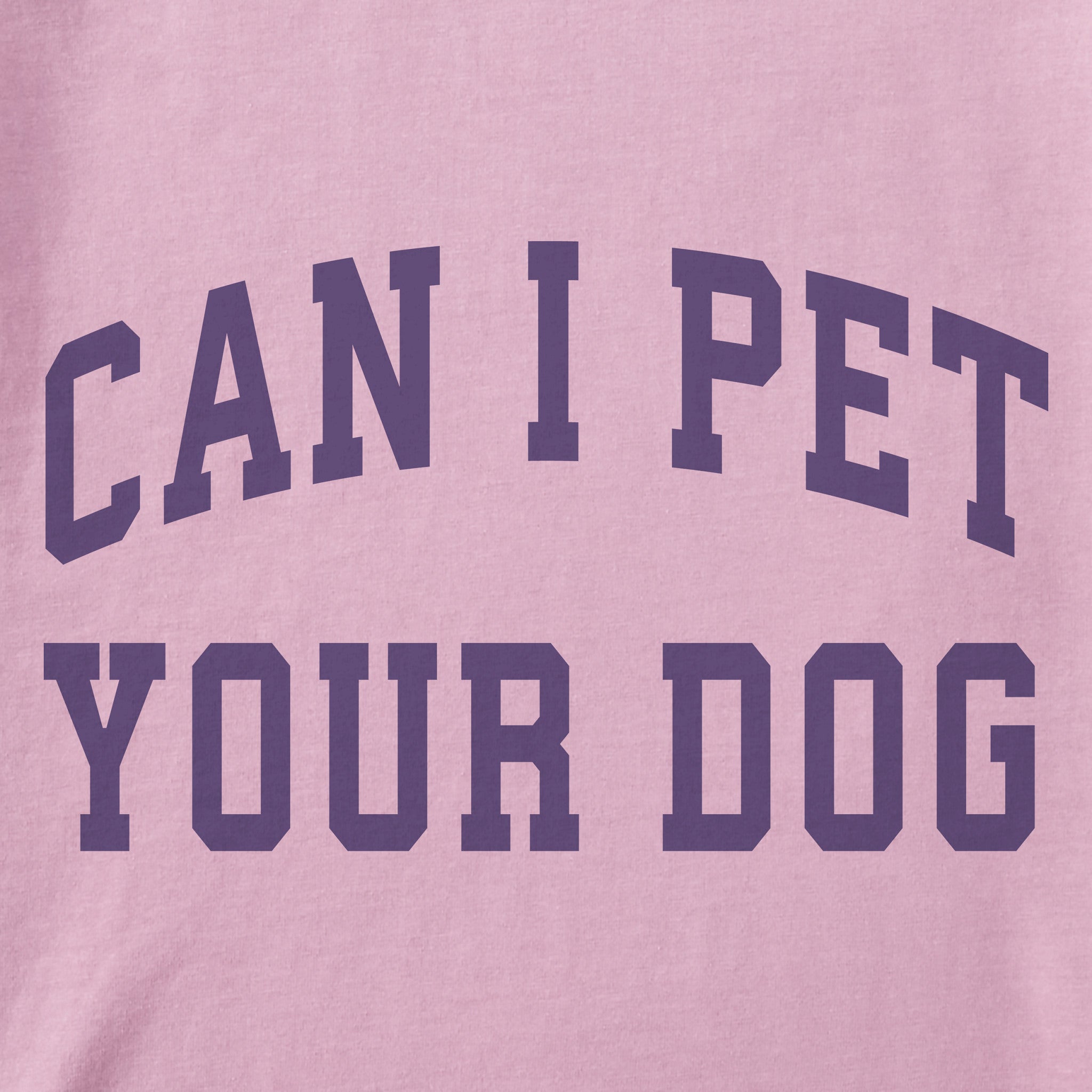 Women's Can I Pet Your Dog Arch Short Sleeve Crusher Boxy Tee