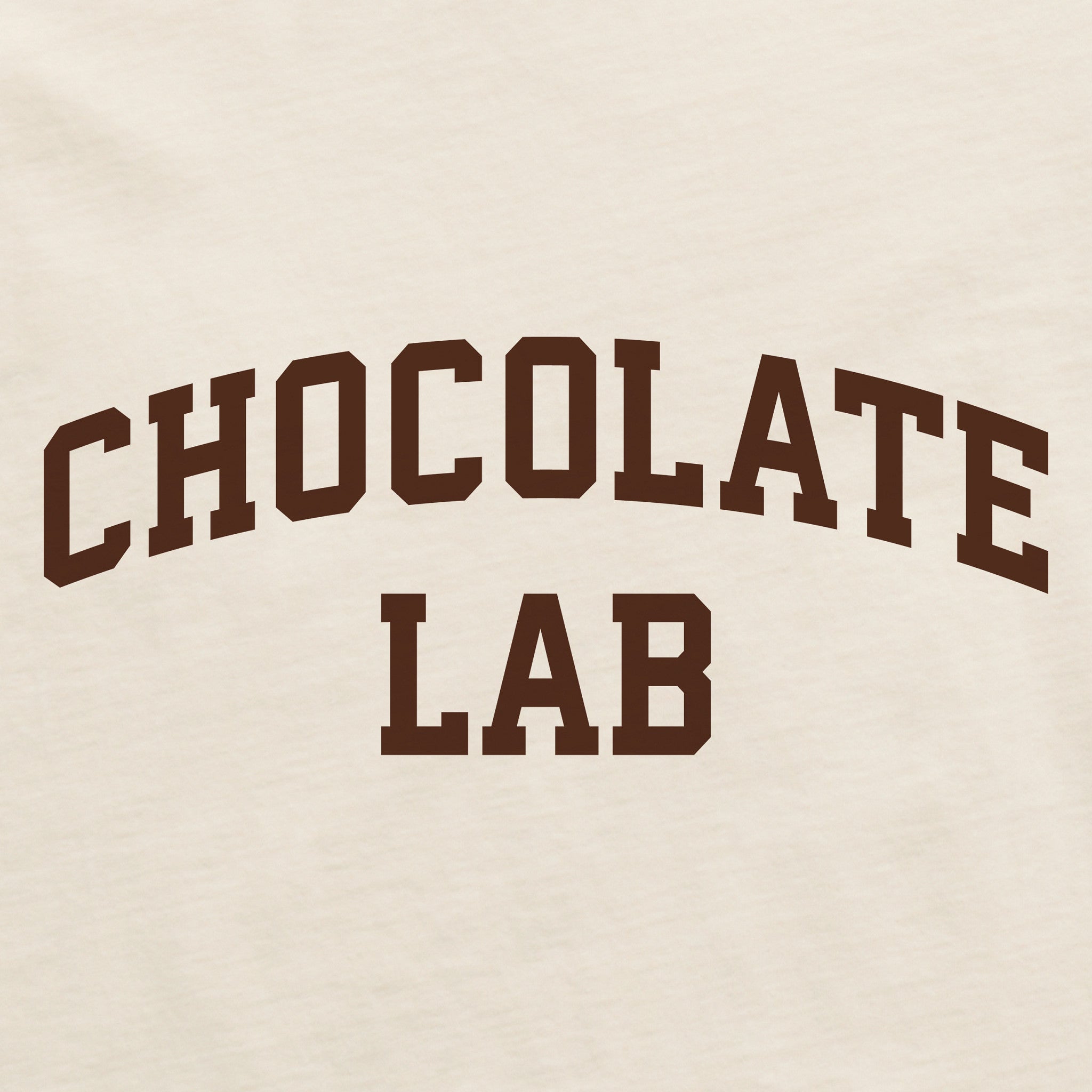 Women's Chocolate Lab Arch Short Sleeve Crusher Boxy Tee