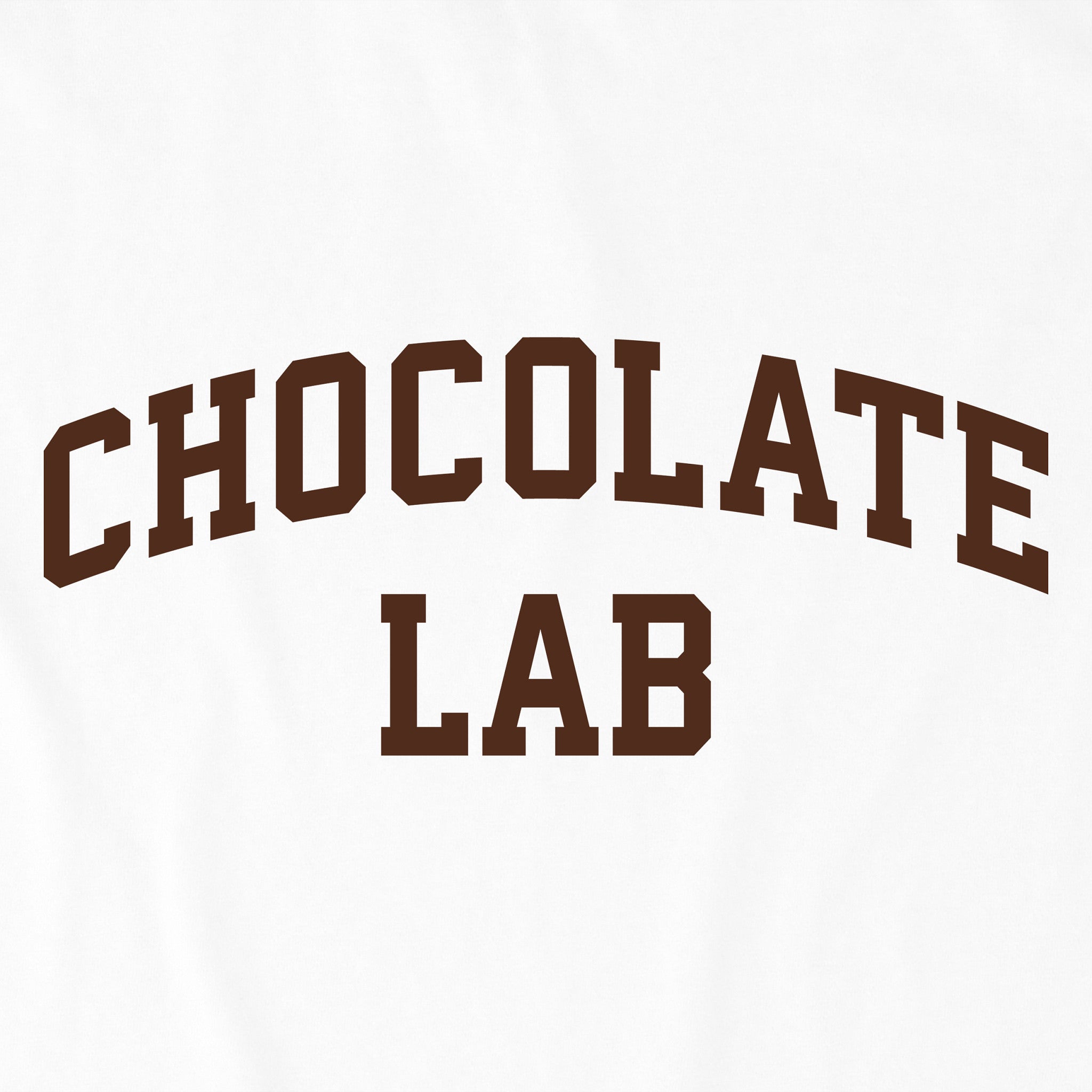 Kids Chocolate Lab Arch Short Sleeve Crusher Tee