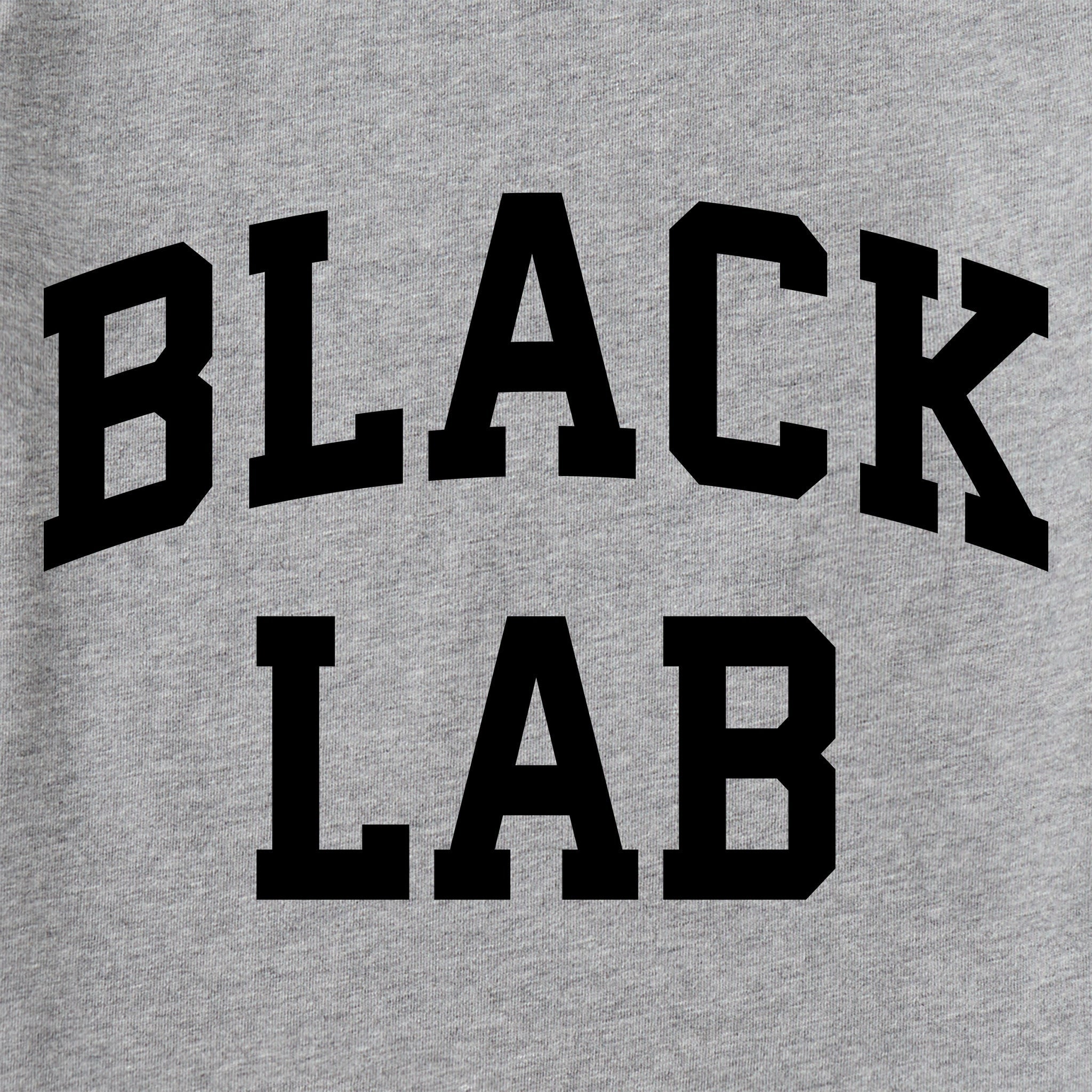 Kids Black Lab Arch Short Sleeve Crusher Tee